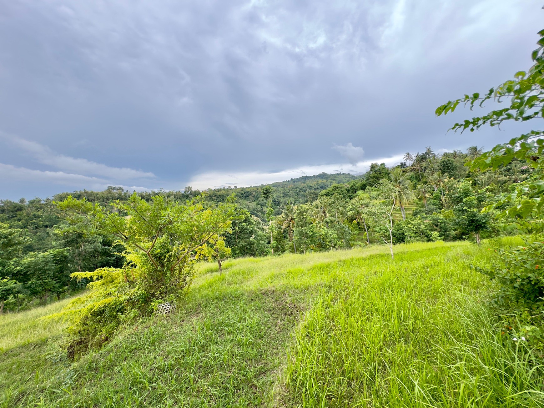 LAND WITH OCEAN AND HILLS VIEW, ONLY 15 MINUTES FROM LOVINA BEACH