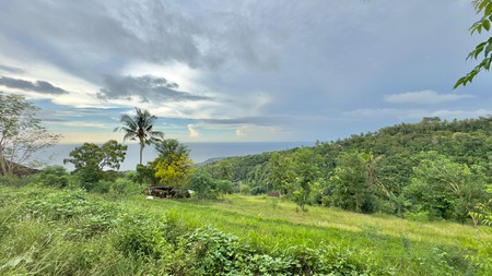 LAND WITH OCEAN AND HILLS VIEW, ONLY 15 MINUTES FROM LOVINA BEACH