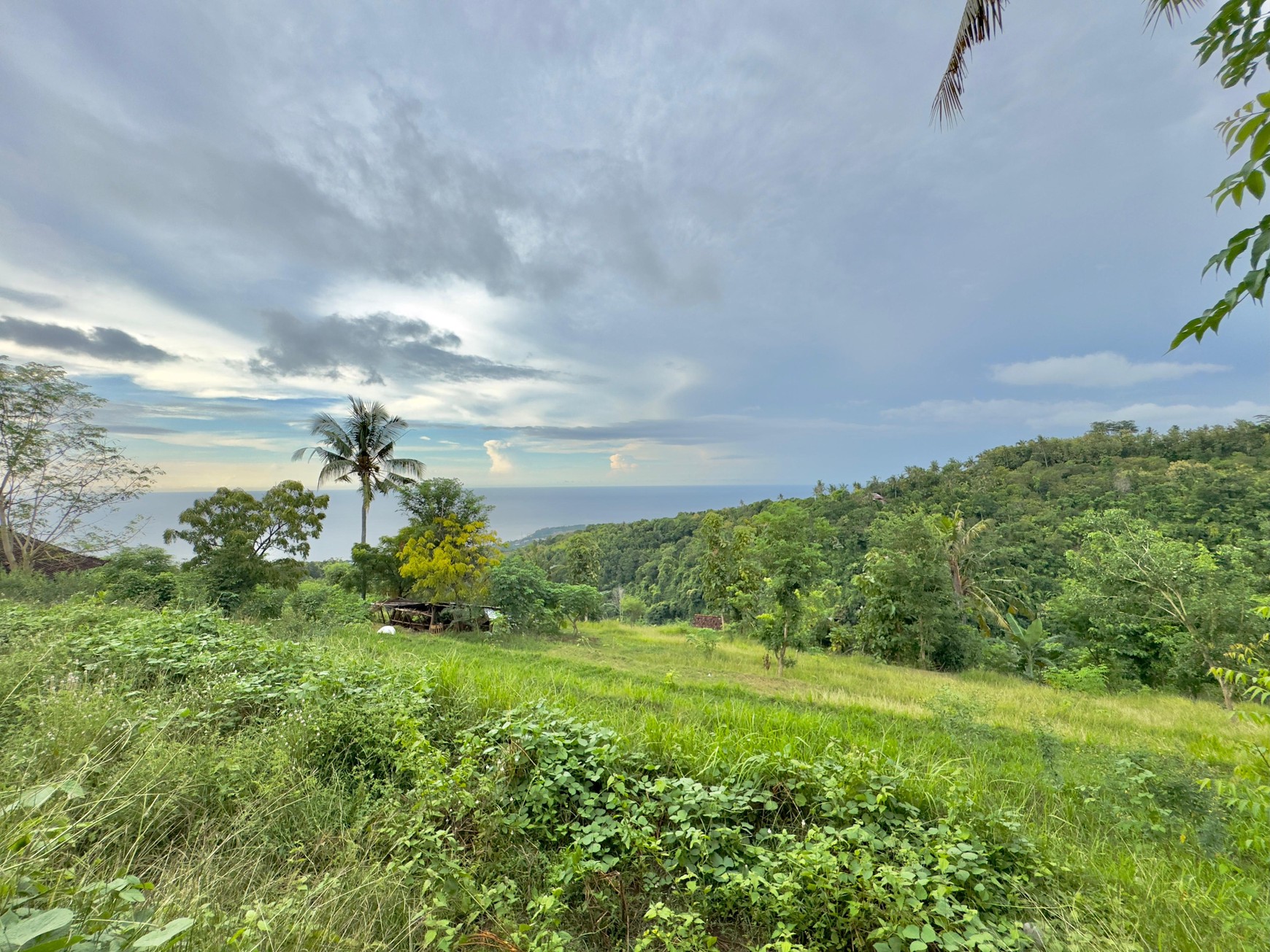 LAND WITH OCEAN AND HILLS VIEW, ONLY 15 MINUTES FROM LOVINA BEACH