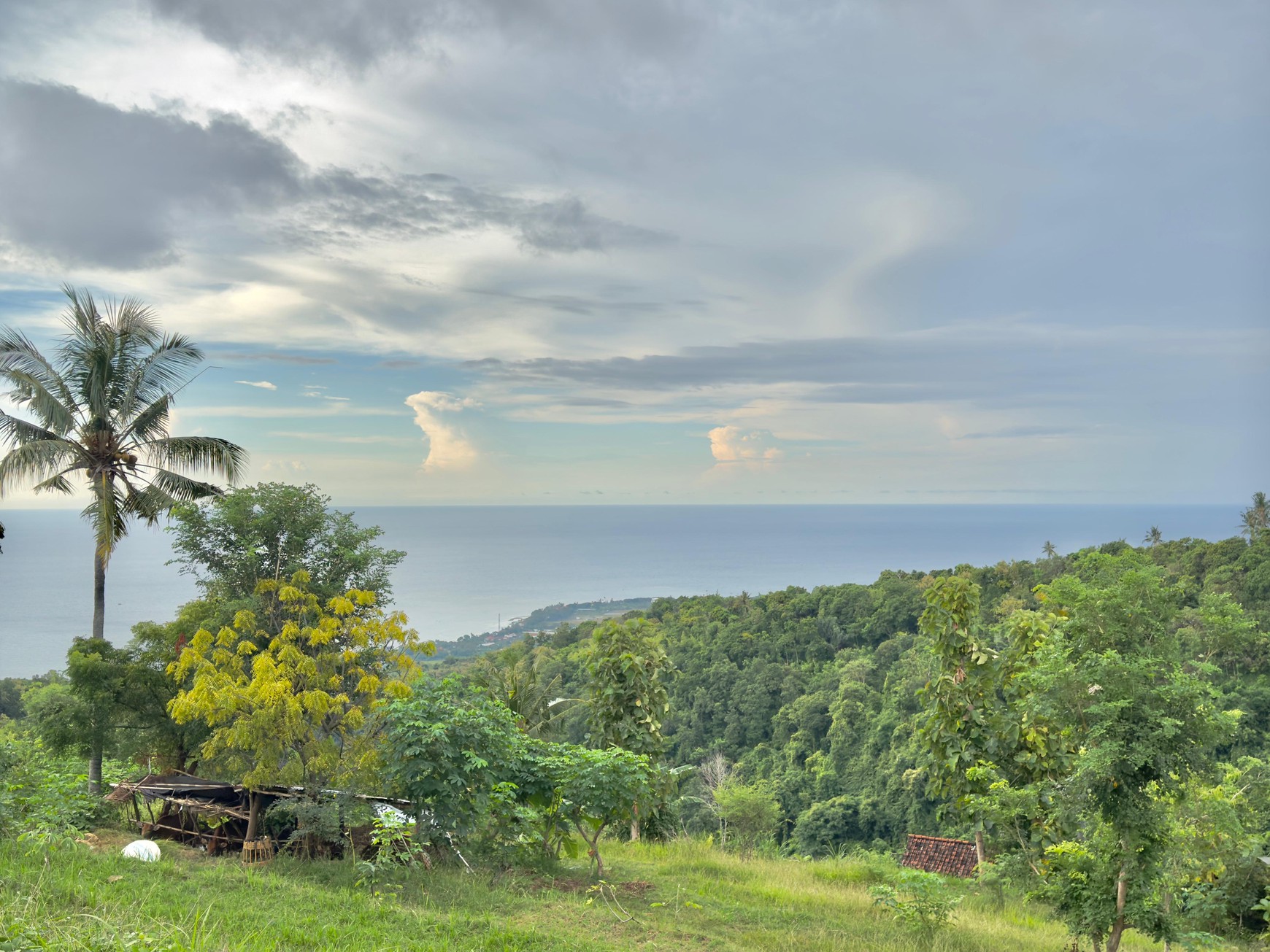 LAND WITH OCEAN AND HILLS VIEW, ONLY 15 MINUTES FROM LOVINA BEACH