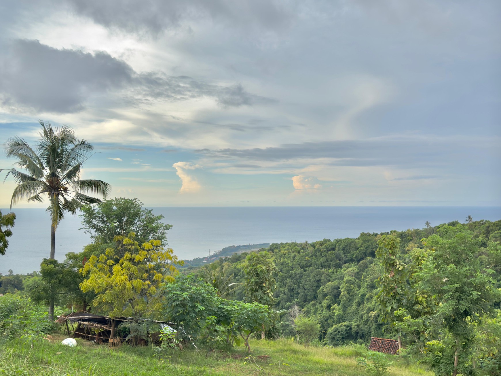 LAND WITH OCEAN AND HILLS VIEW, ONLY 15 MINUTES FROM LOVINA BEACH