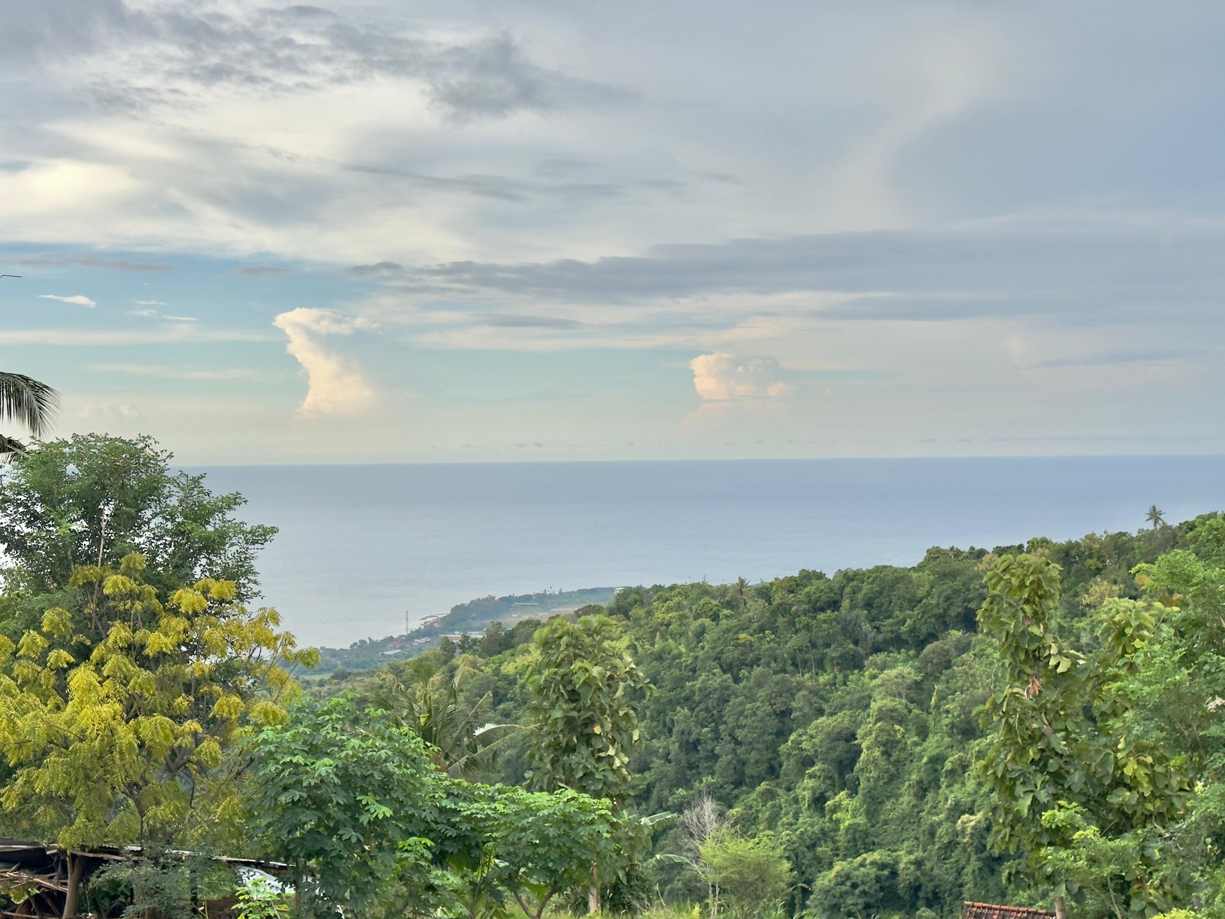 LAND WITH OCEAN AND HILLS VIEW, ONLY 15 MINUTES FROM LOVINA BEACH