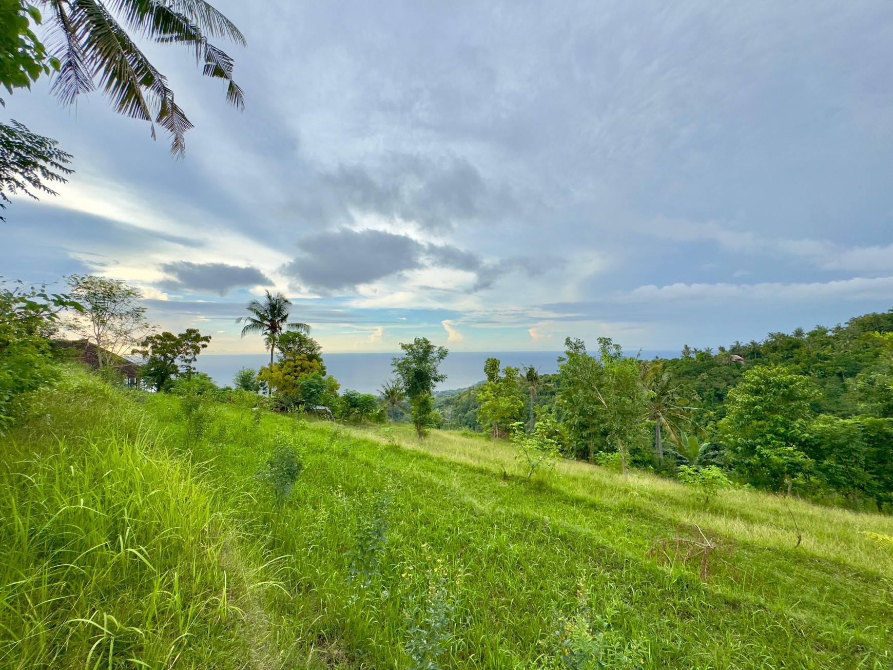 LAND WITH OCEAN AND HILLS VIEW, ONLY 15 MINUTES FROM LOVINA BEACH