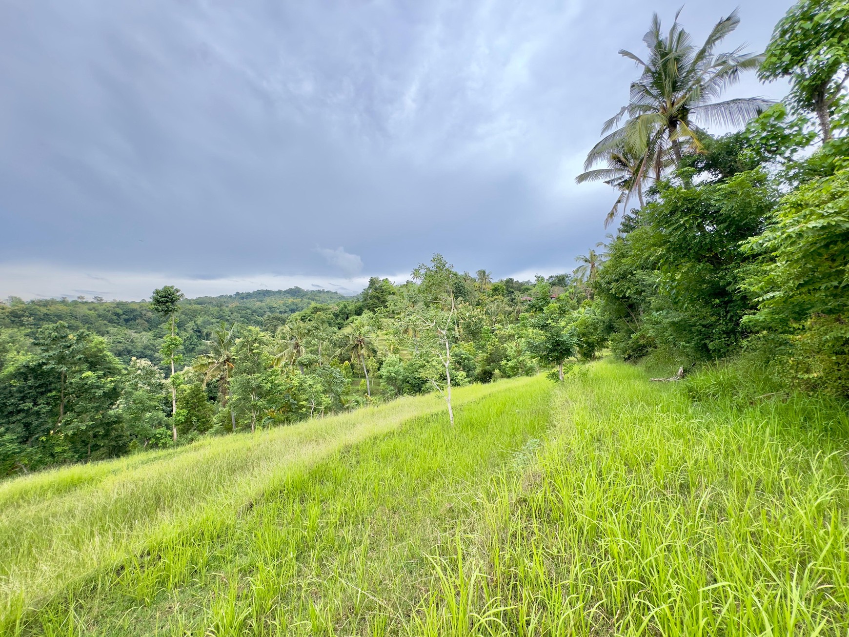 LAND WITH OCEAN AND HILLS VIEW, ONLY 15 MINUTES FROM LOVINA BEACH