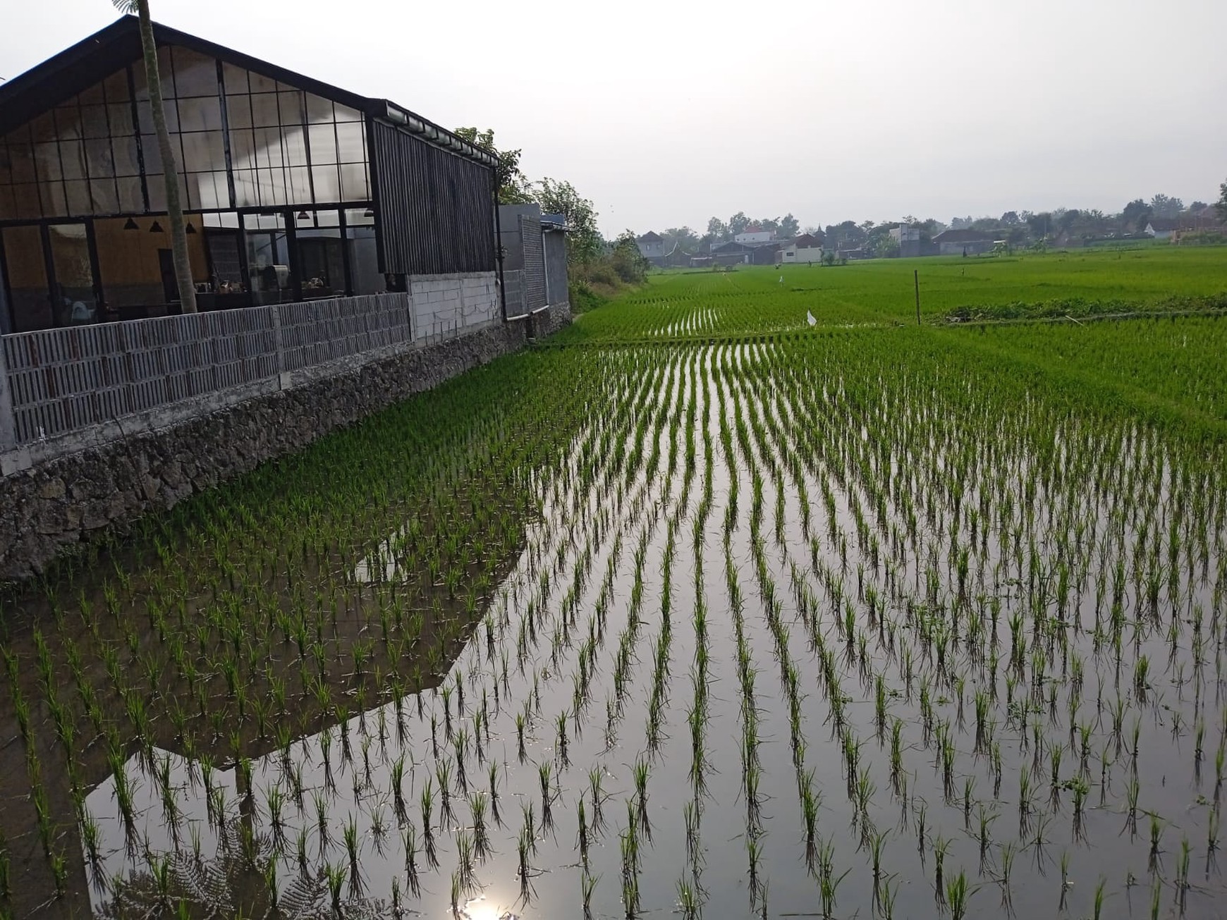 Rumah + Tanah Luas 965 Meter Persegi Dekat Komplek PemKab Bantul