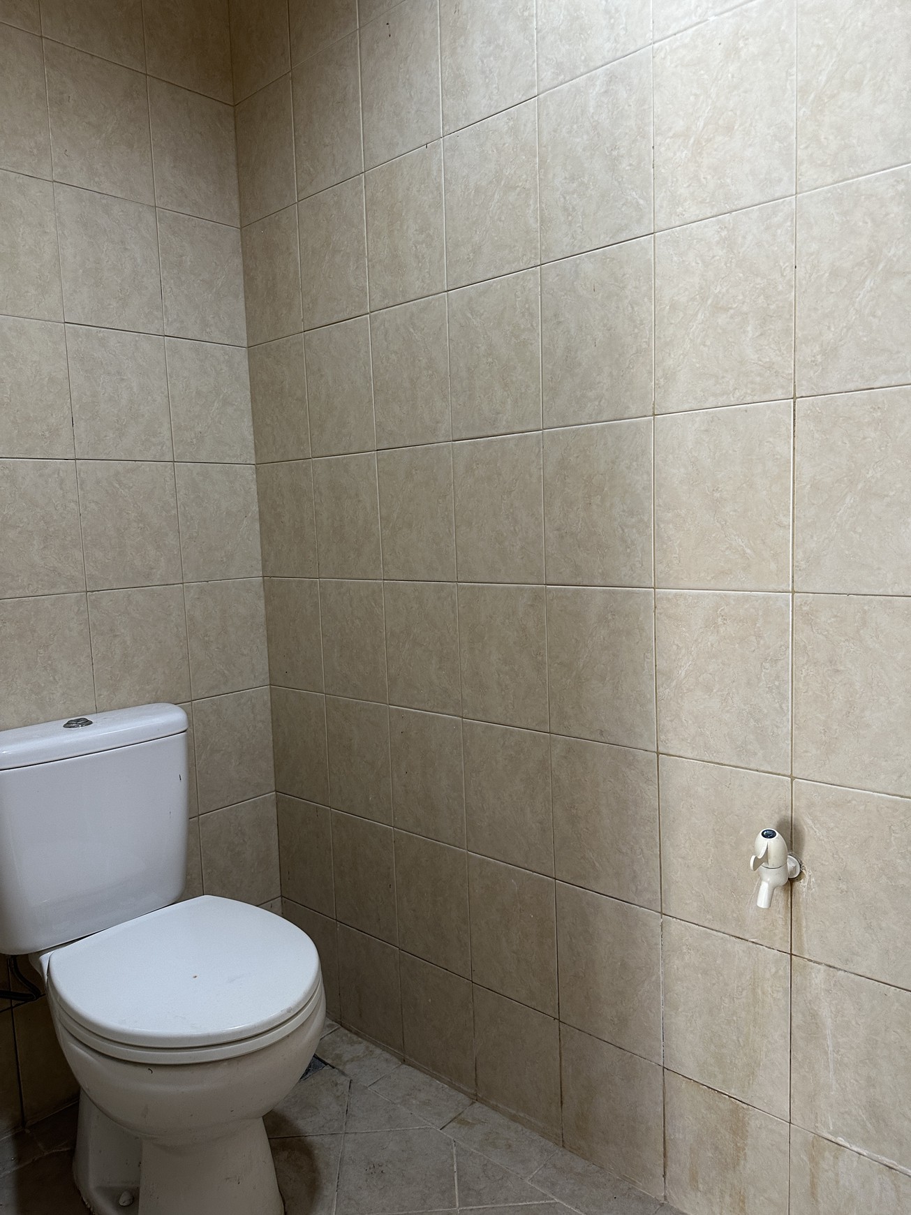 Dijual Rumah Modern Tropis Cosmo Park Residence - Thamrin City - Tanah Abang - Jakpus
