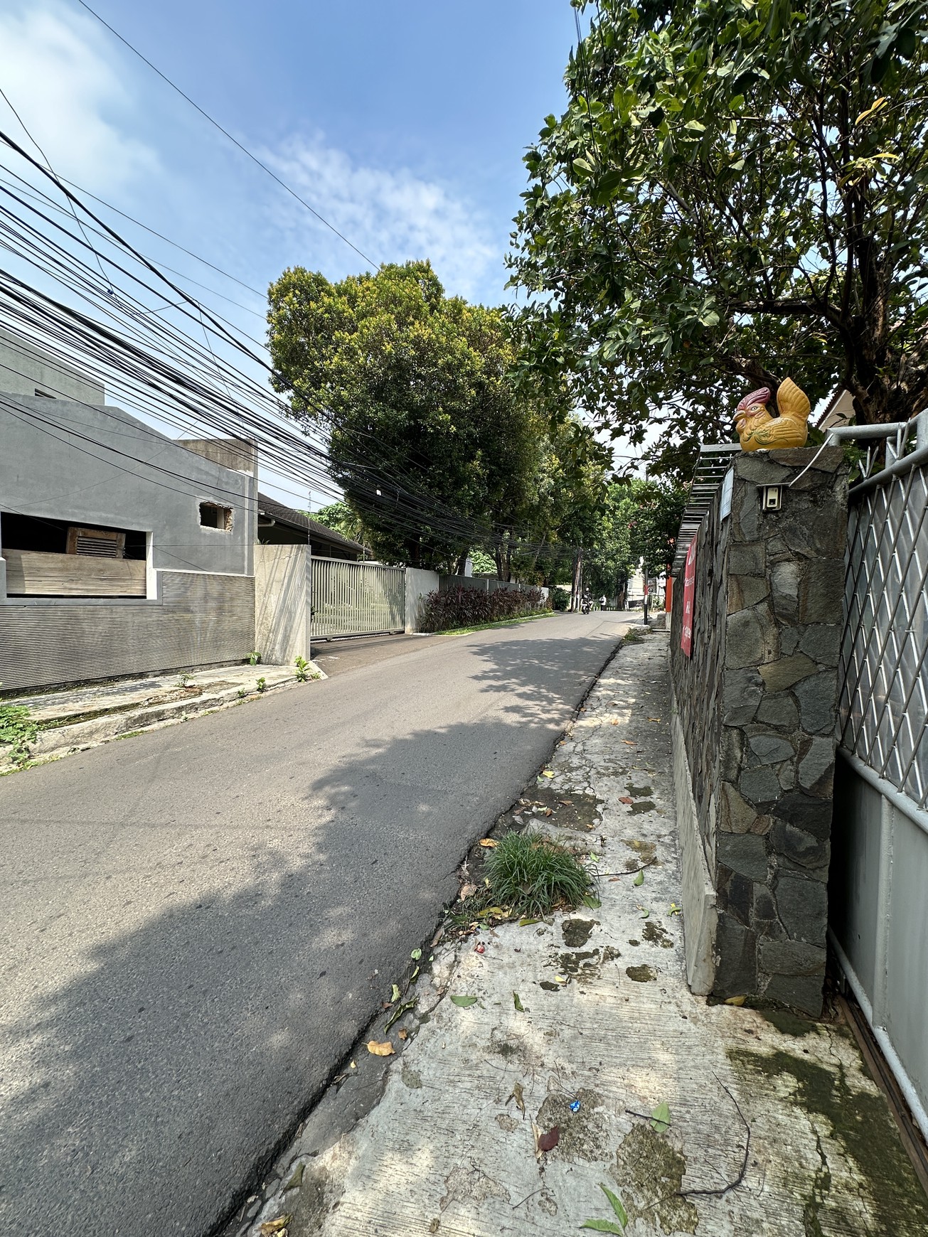 RUMAH ASRI DENGAN HALAMAN LUAS CILANDAK
