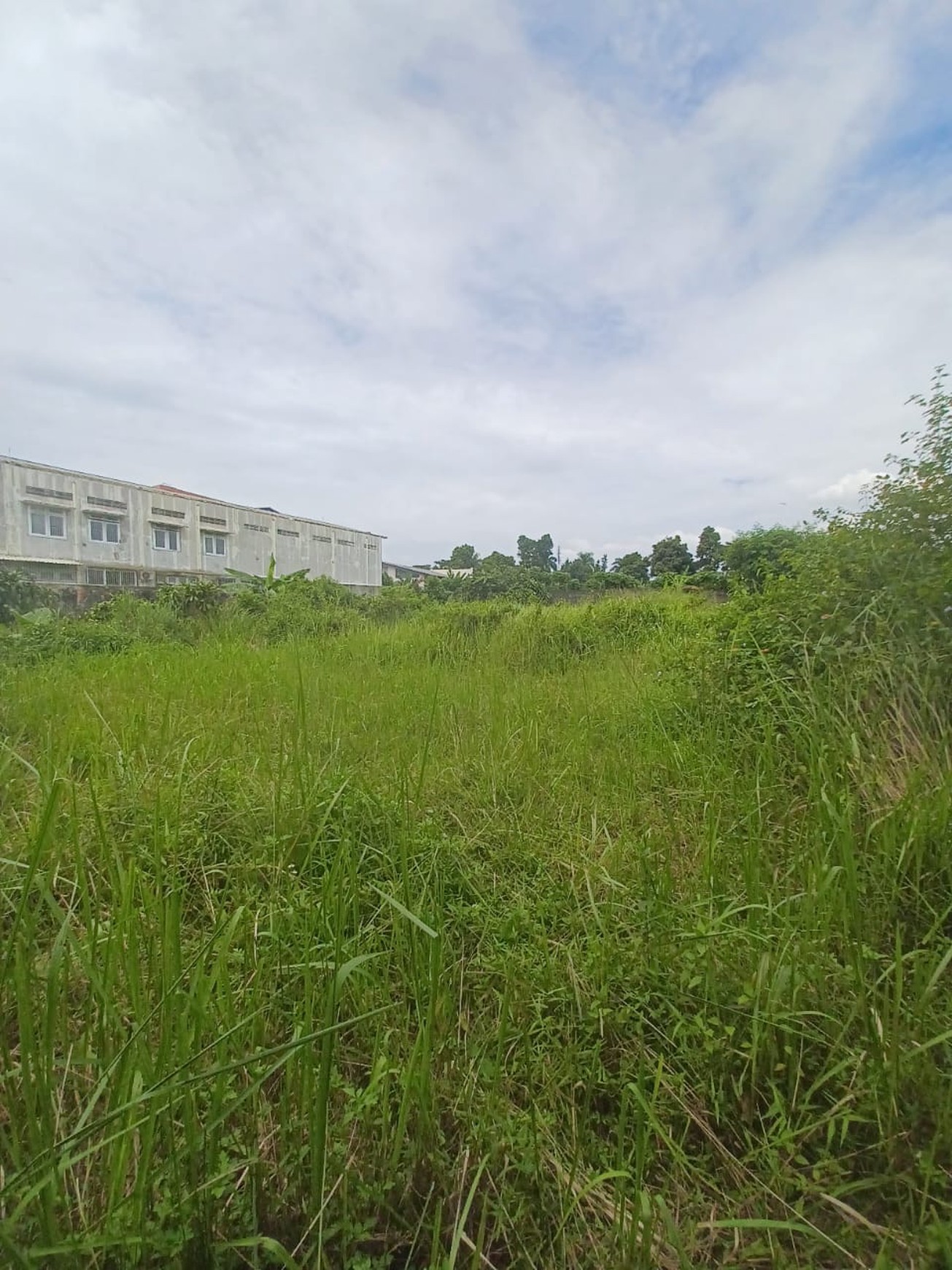 Dijual Kavling Tanah di Cluster Rasamala Seberang Perumahan Taman Yasmin Bogor