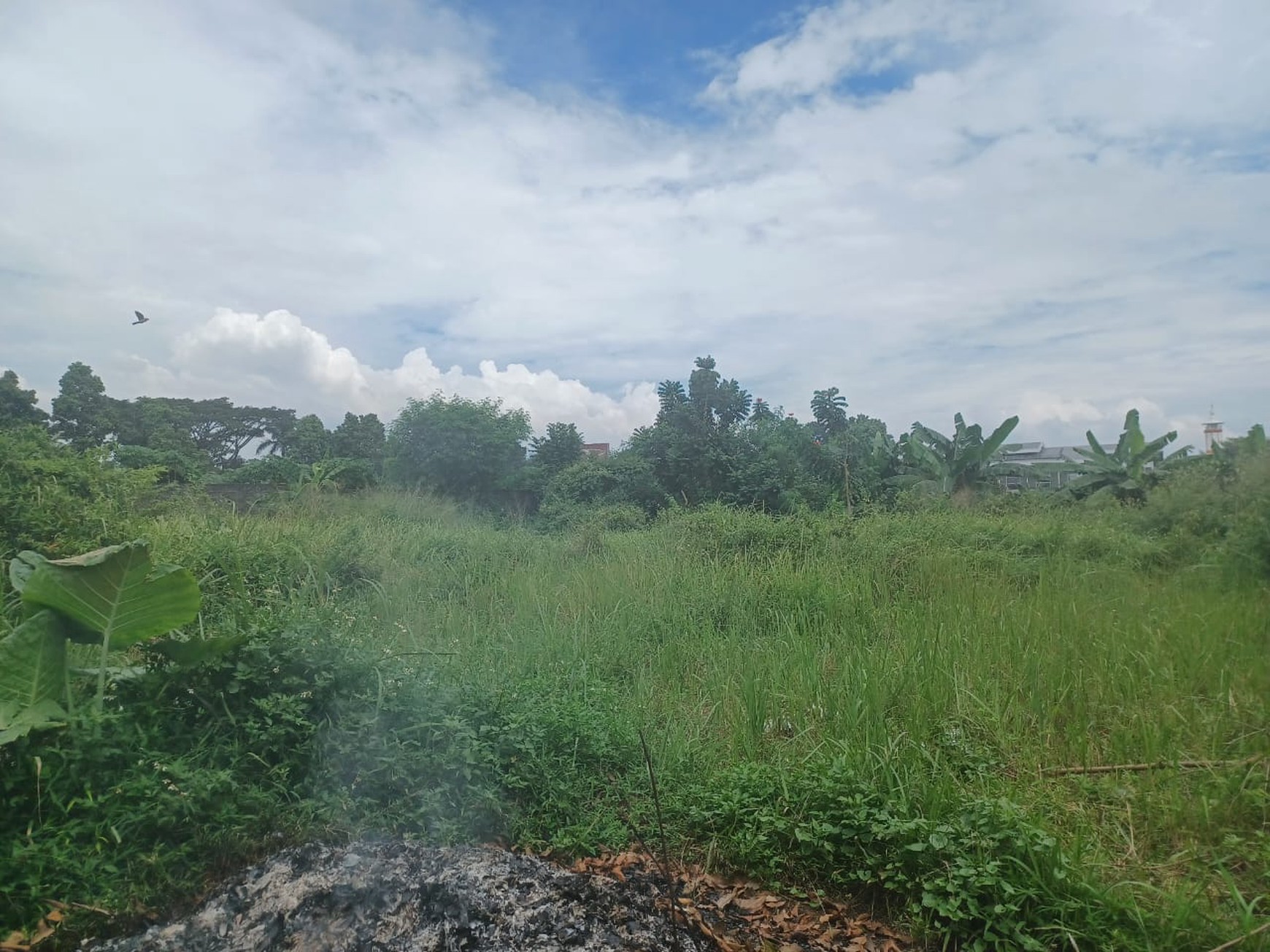 Dijual Kavling Tanah di Cluster Rasamala Seberang Perumahan Taman Yasmin Bogor