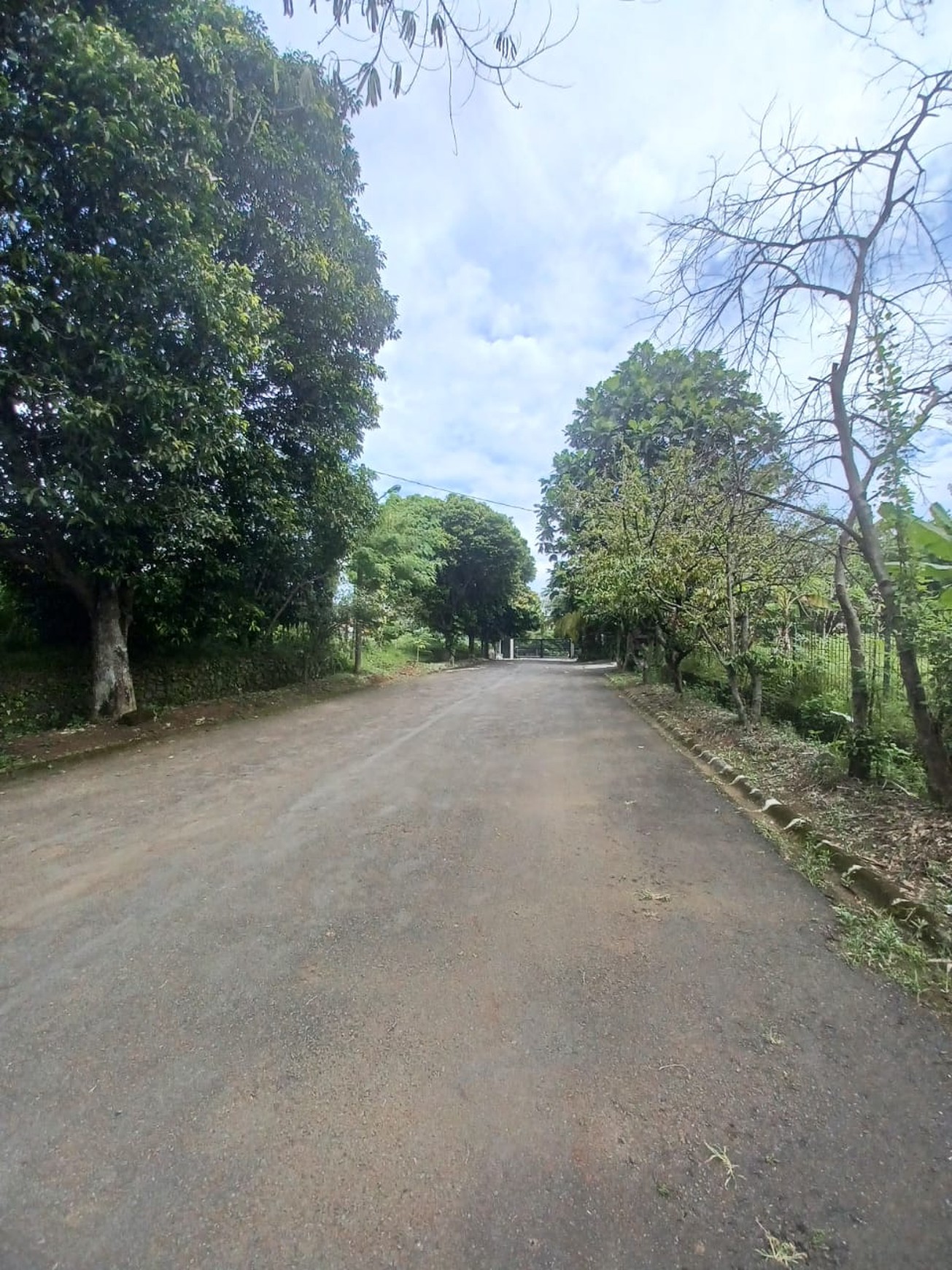 Dijual Kavling Tanah di Cluster Rasamala Seberang Perumahan Taman Yasmin Bogor