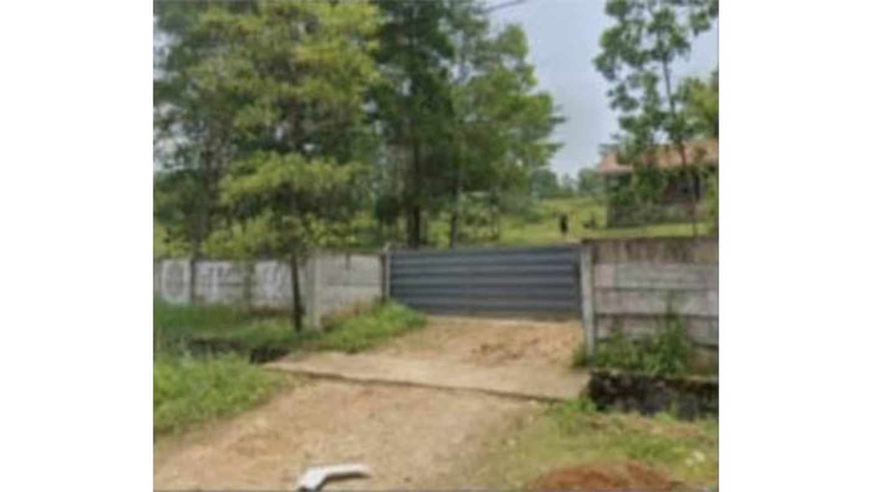Tanah Sukajaya, Sukanegara, Jonggol. Luas 3 Ha