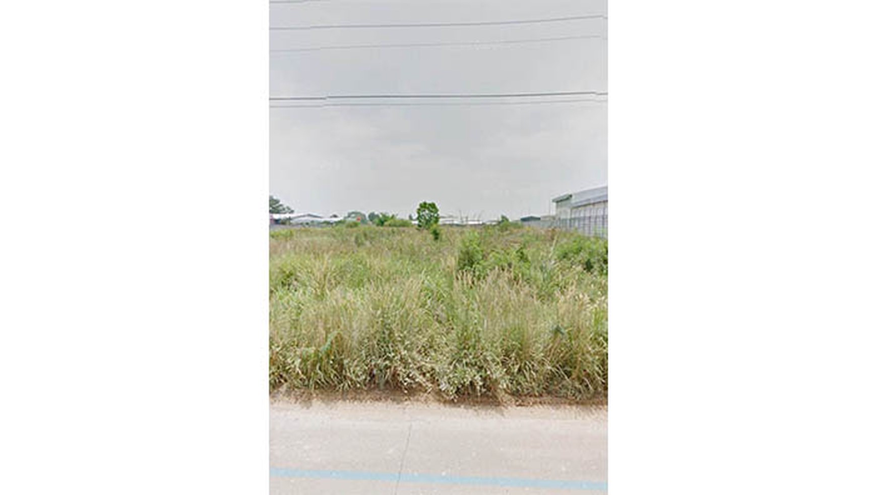 Kavling Tengsaw, Citeureup, Bogor, Luas 1 Ha
