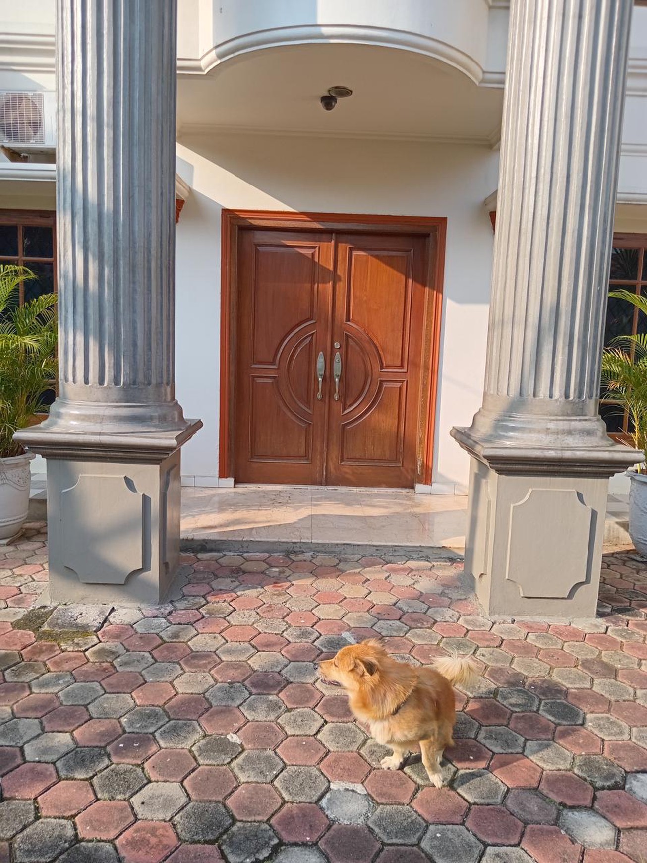 Rumah Bagus Di Jl Gelagah Pisangan Ciputat Tangerang Selatan