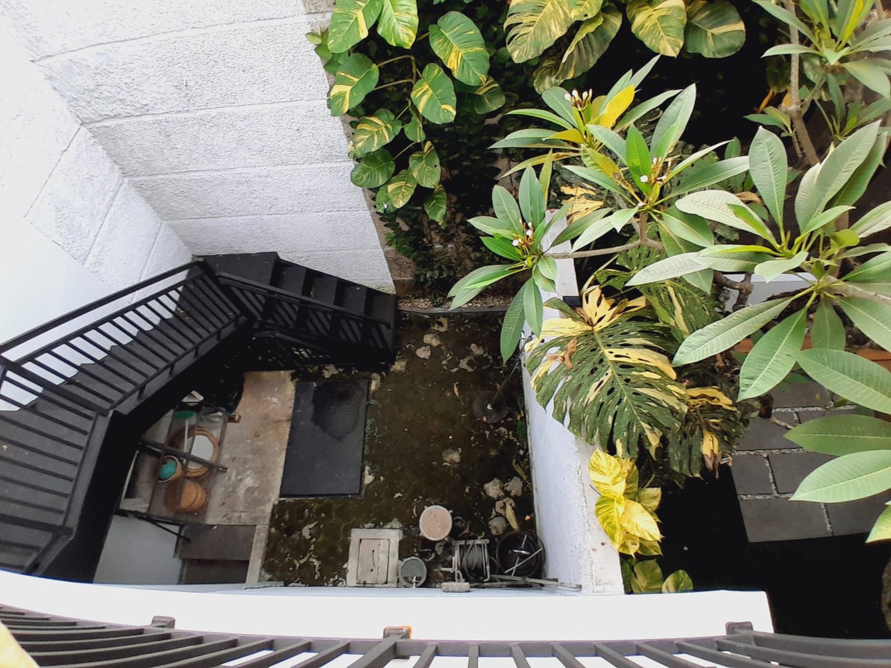 Disewakan rumah strategis nyaman di BONA VISTA RESIDENCE