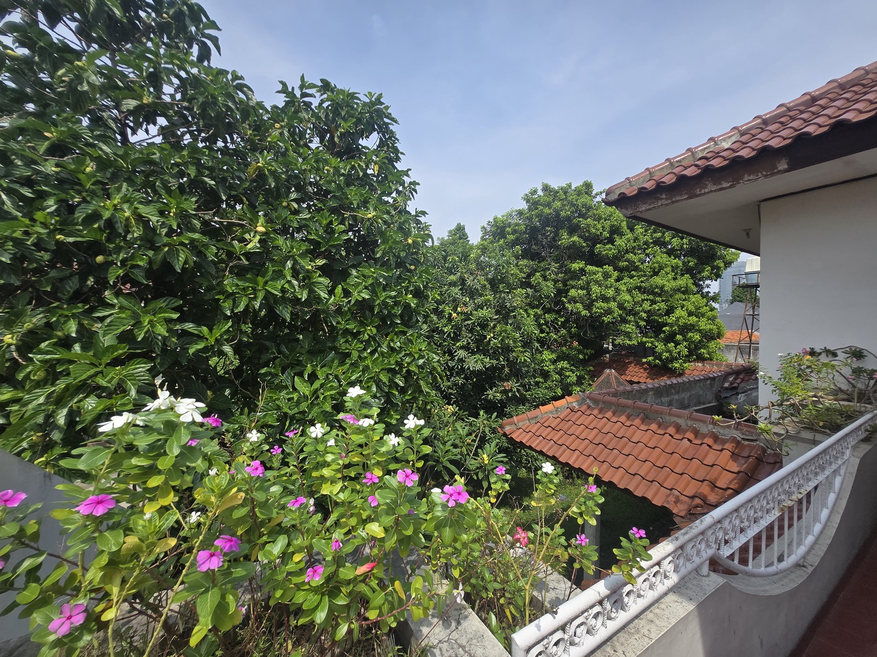 Rumah Bagus Di Jl BI, Pasar Minggu Jakarta Selatan