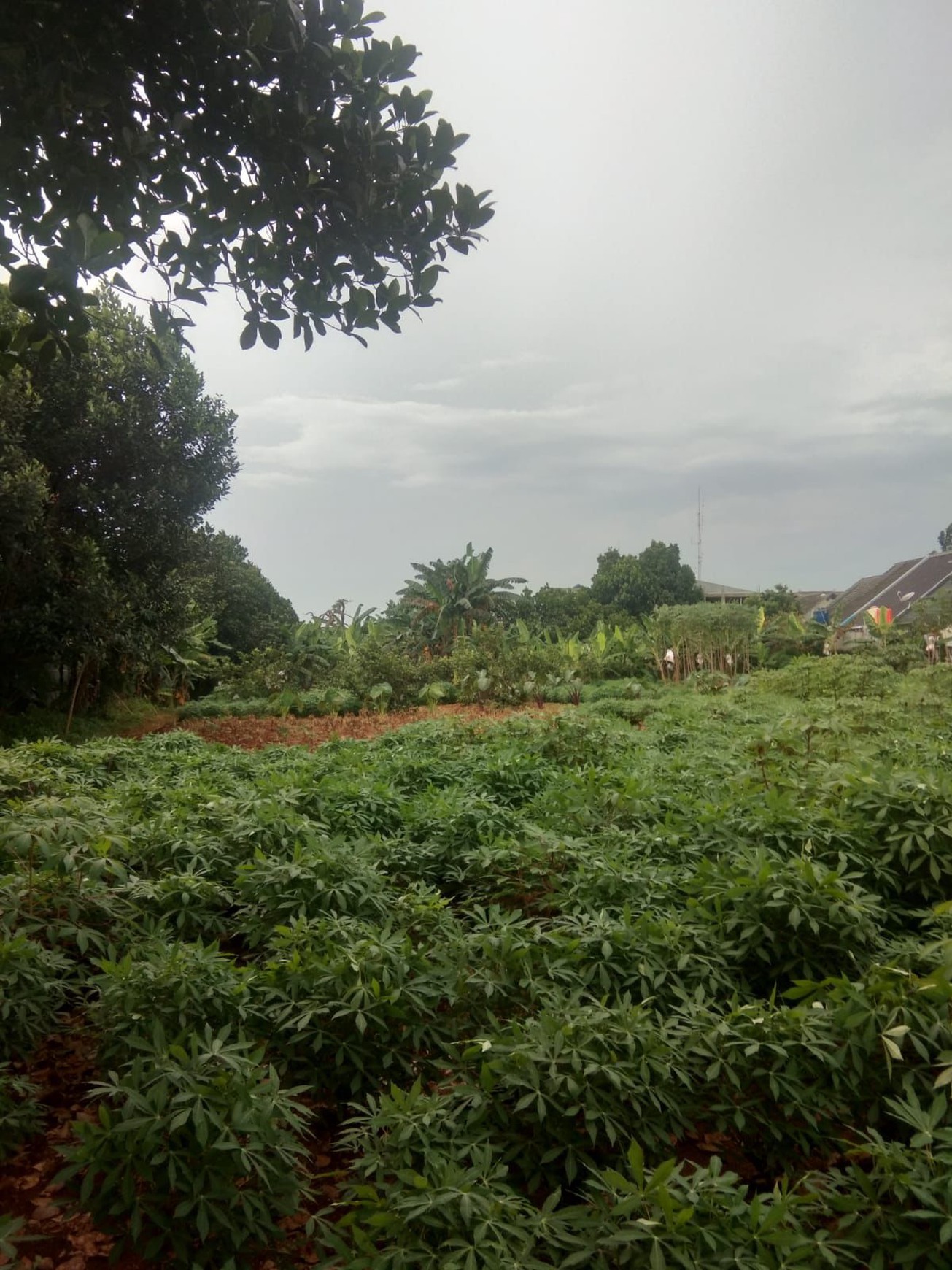 Dijual Kavling daerah strategis Depok