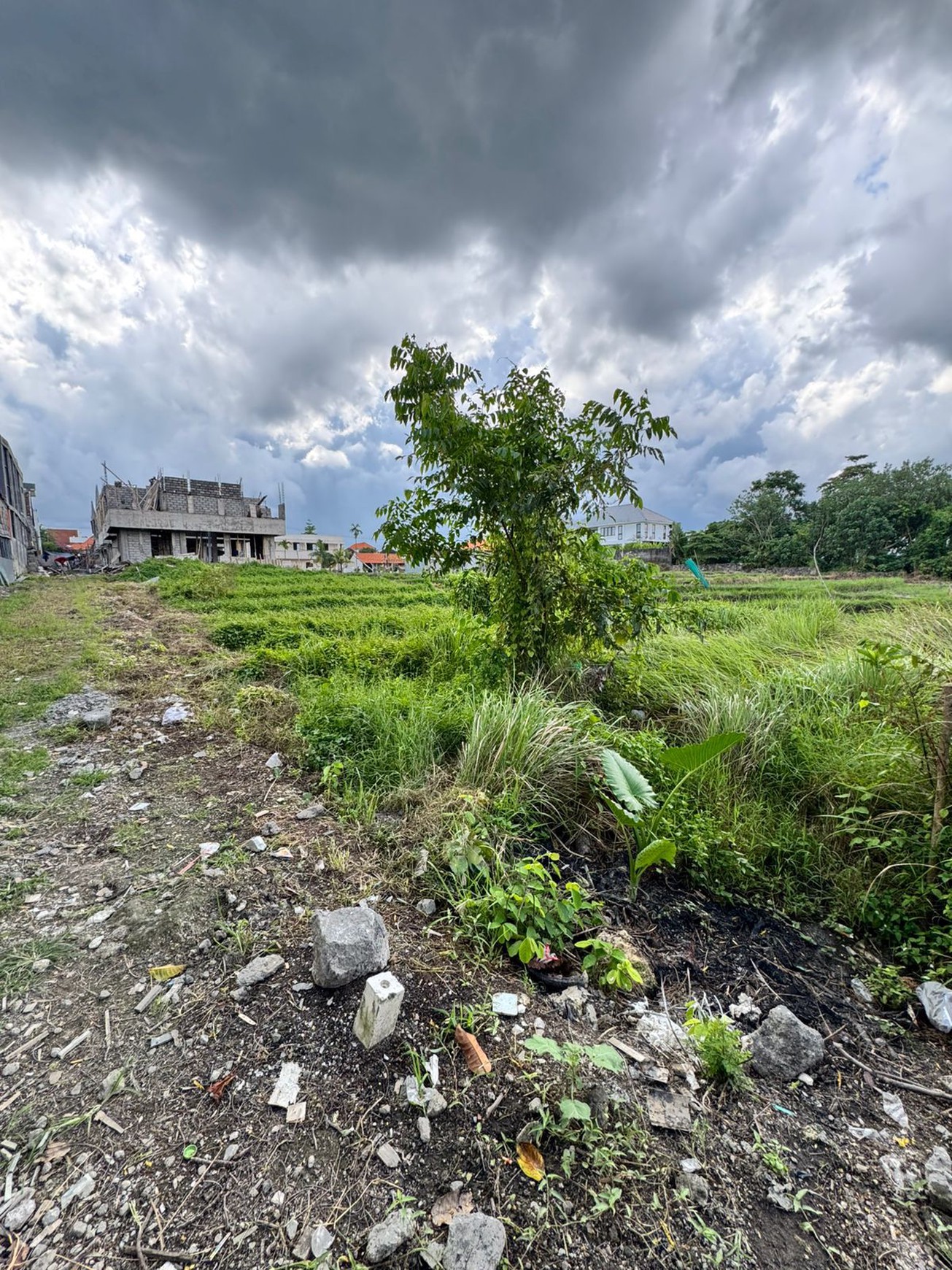 Leasehold - Prime 500 sqm Land in Cemagi, Bali - Rice Field View & 500m to the Beach!