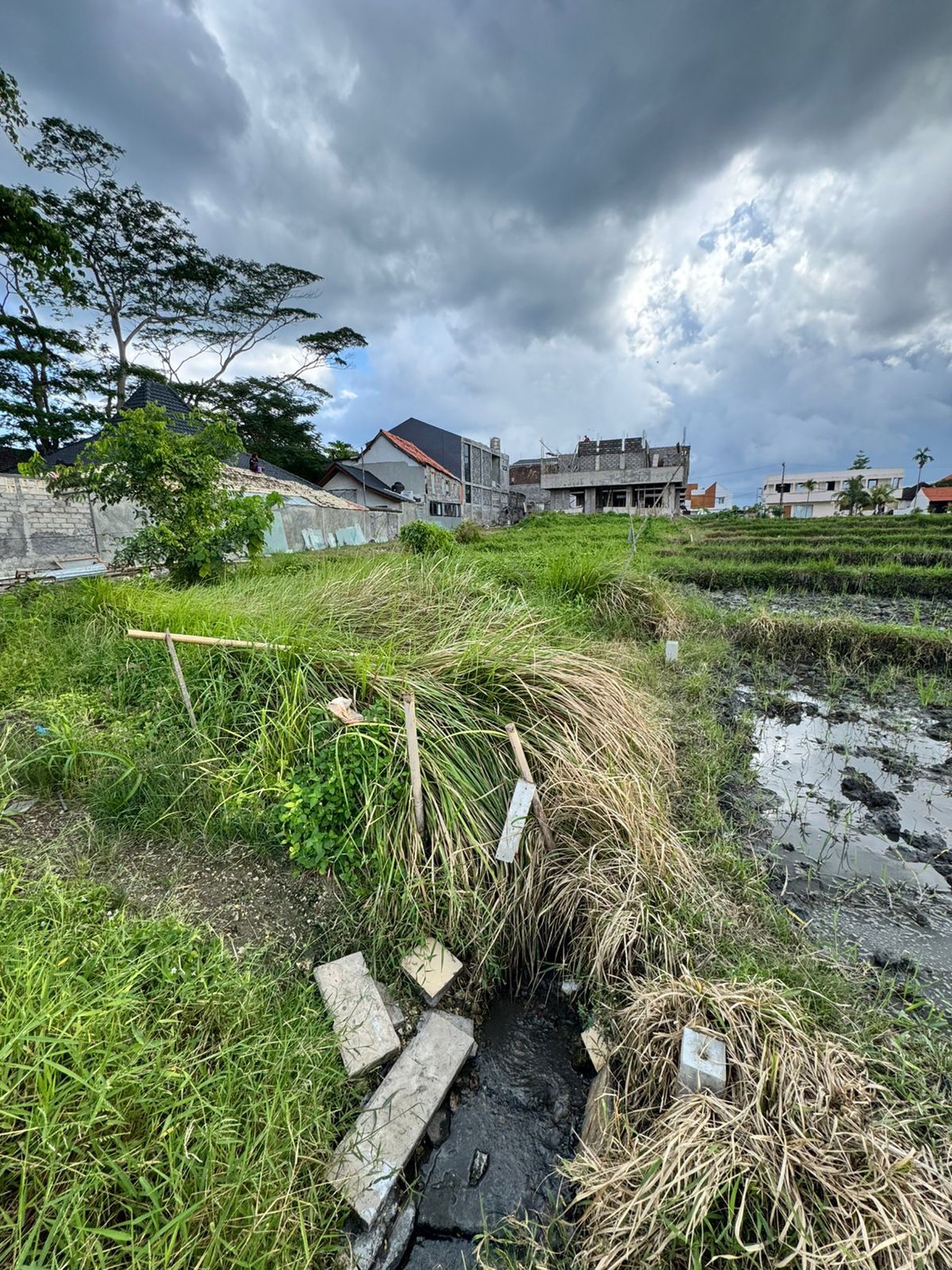 Leasehold - Prime 500 sqm Land in Cemagi, Bali - Rice Field View & 500m to the Beach!