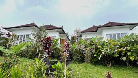 Peaceful Villa in Bali's Cool Highlands with Serene Views