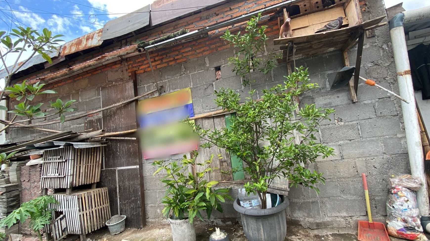 Tanah Pekarangan 250 Meter Persegi Cocok Untuk Kost Lokasi Dekat Pasar Kolombo