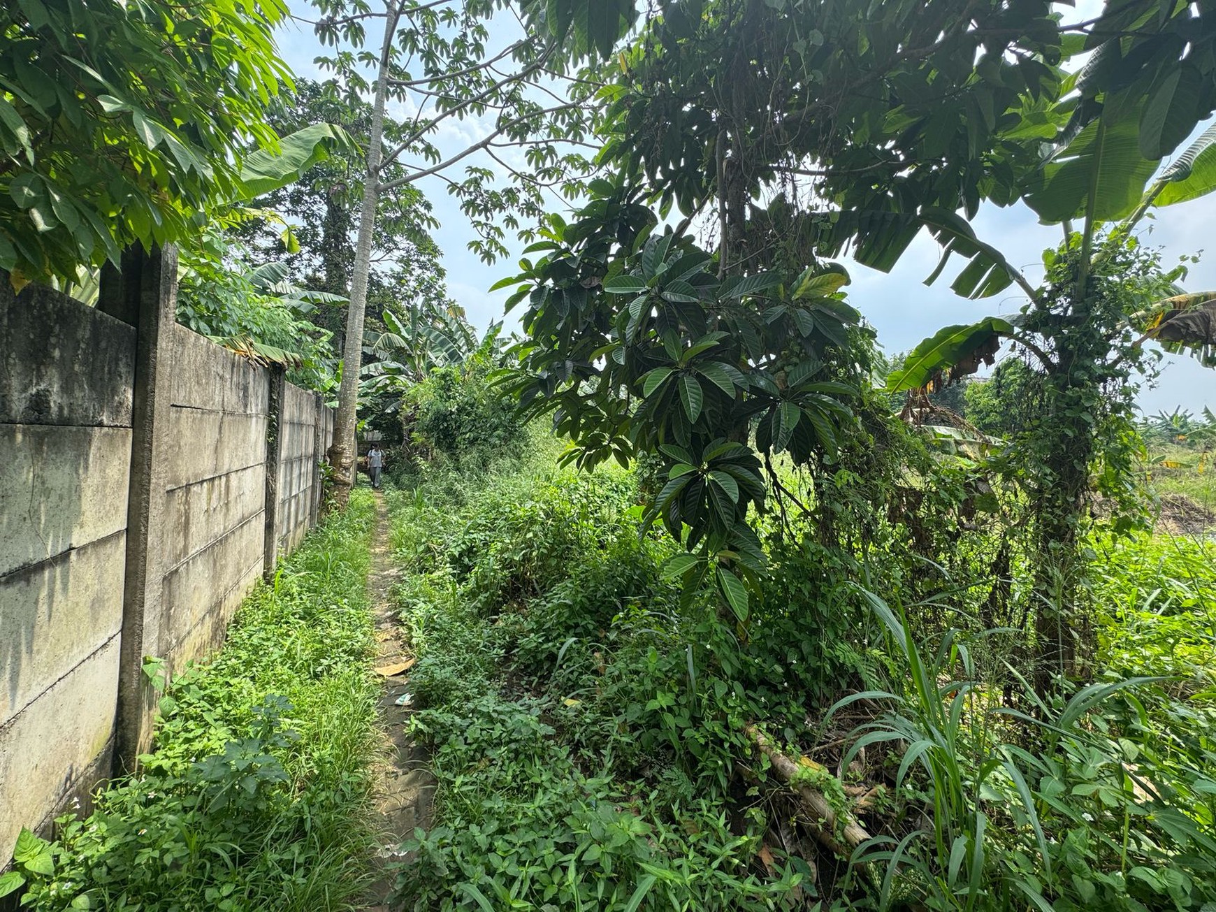 Dijual Tanah Di Kampung Manungtung Legok Kabupaten Tangerang