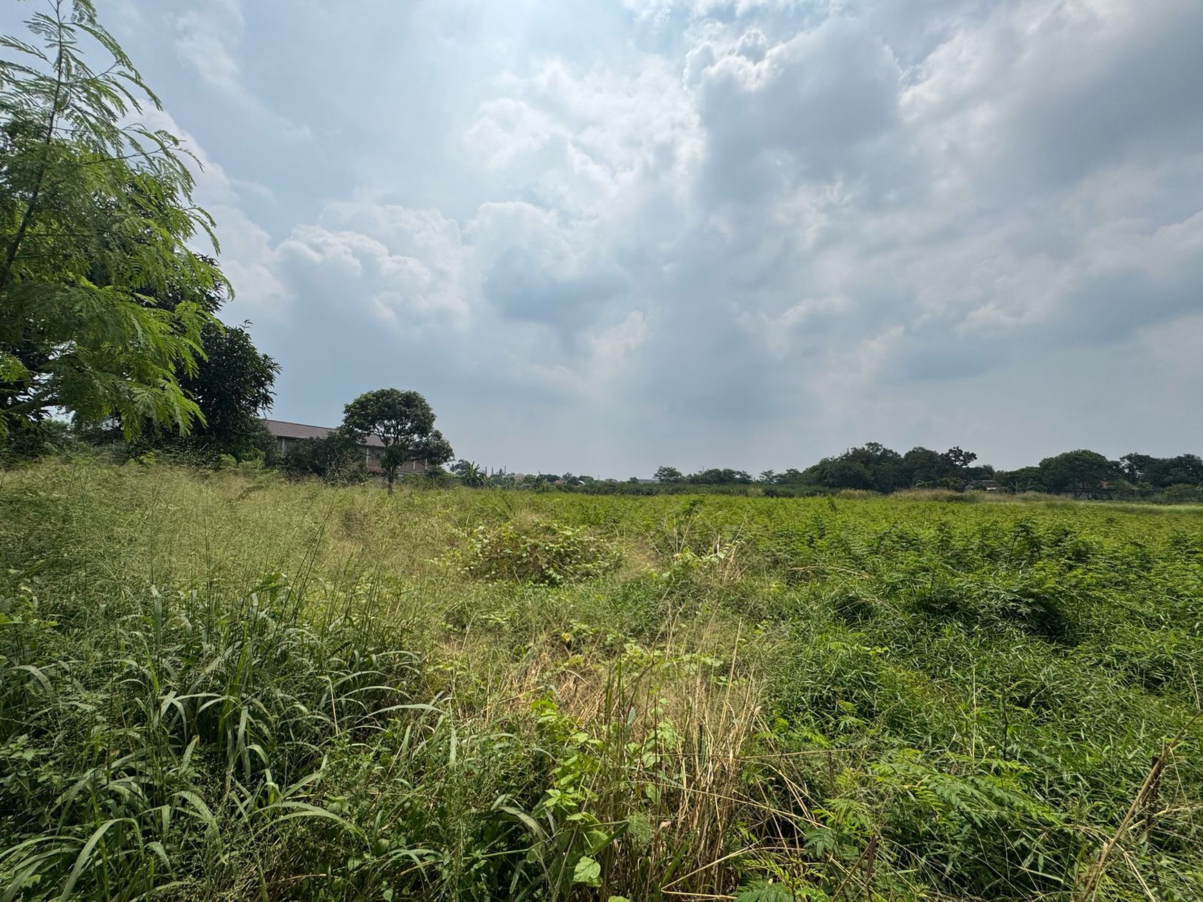 Dijual Tanah Di Kampung Manungtung Legok Kabupaten Tangerang