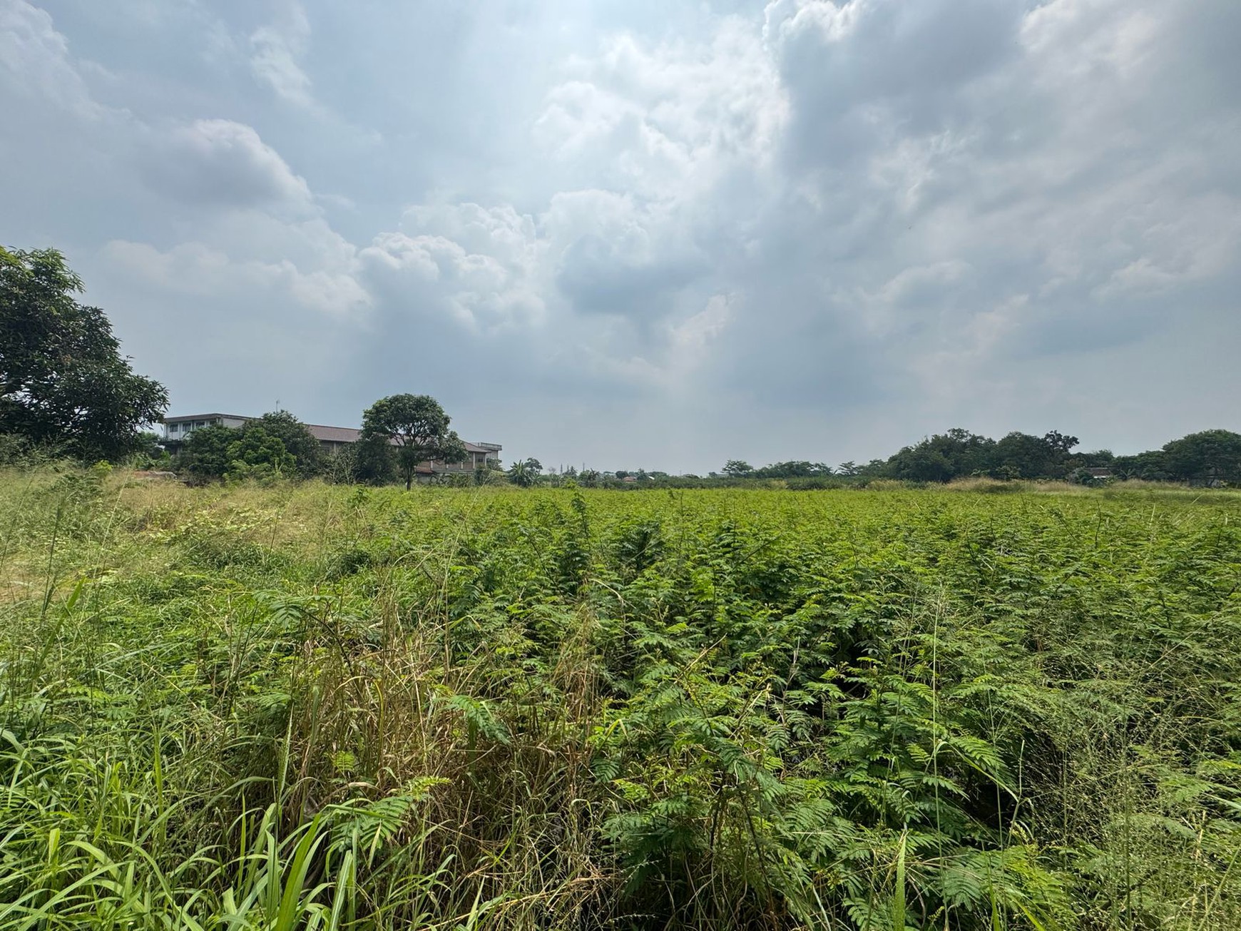 Dijual Tanah Di Kampung Manungtung Legok Kabupaten Tangerang