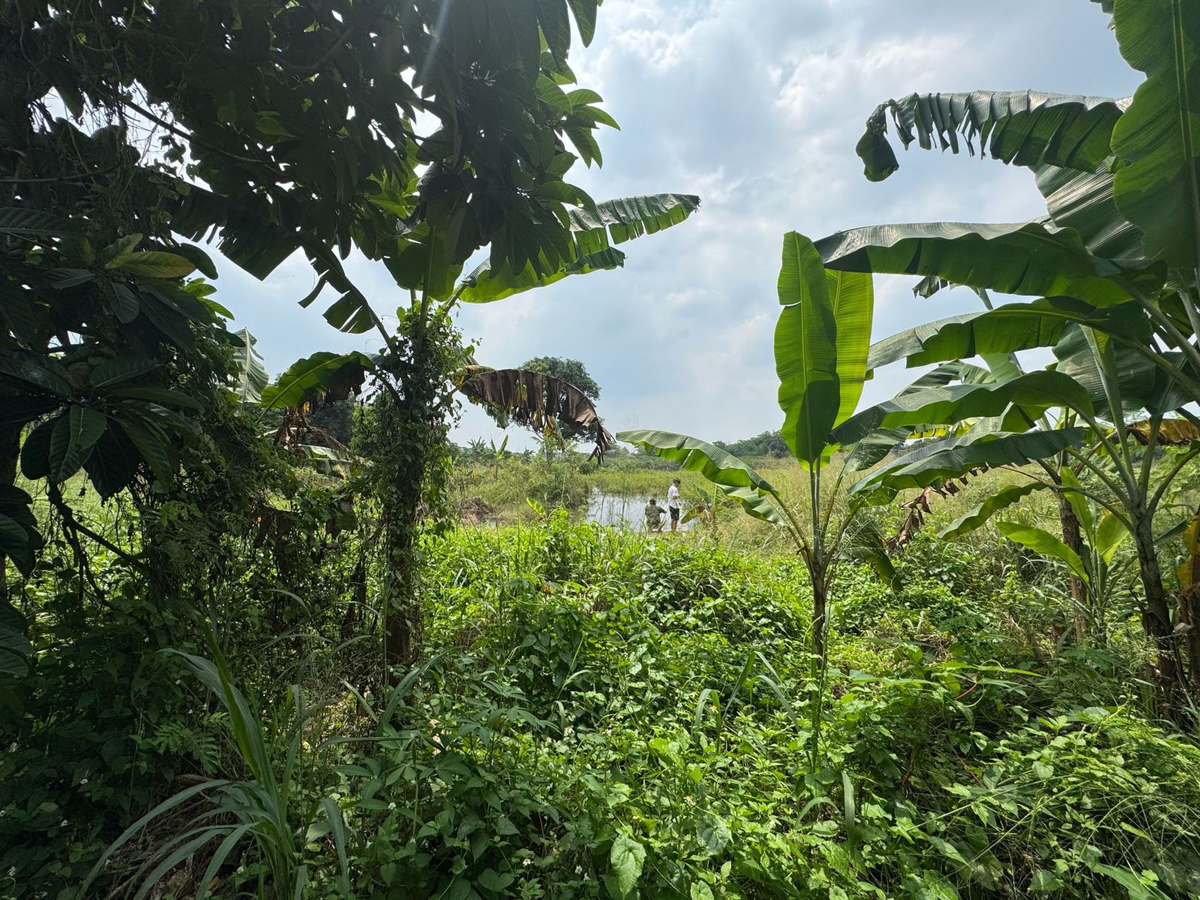 Dijual Tanah Di Kampung Manungtung Legok Kabupaten Tangerang