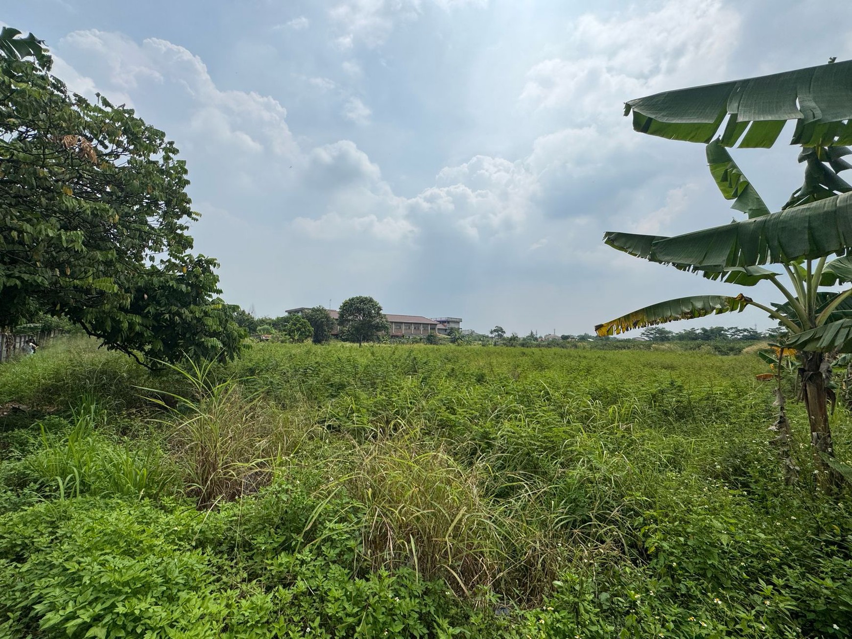 Dijual Tanah Di Kampung Manungtung Legok Kabupaten Tangerang