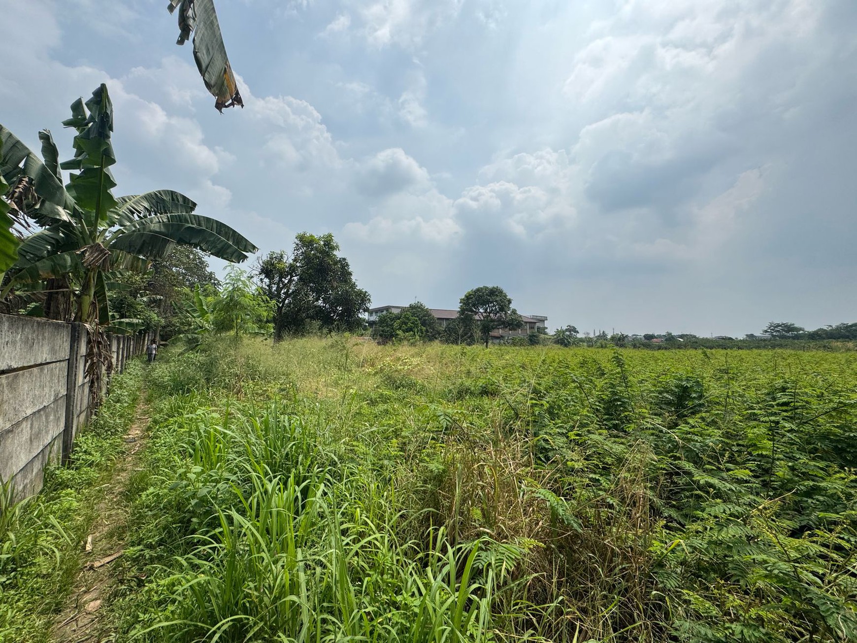 Dijual Tanah Di Kampung Manungtung Legok Kabupaten Tangerang