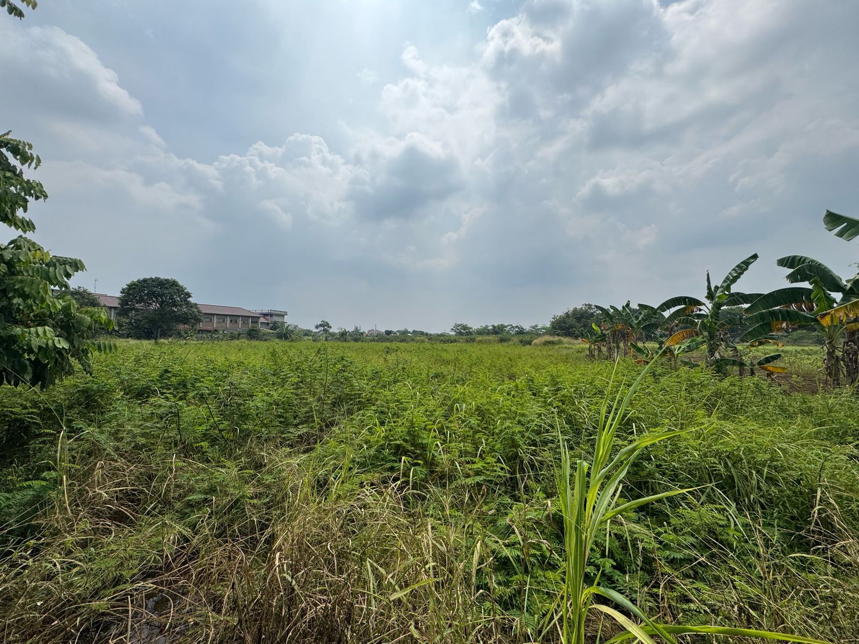 Dijual Tanah Di Kampung Manungtung Legok Kabupaten Tangerang
