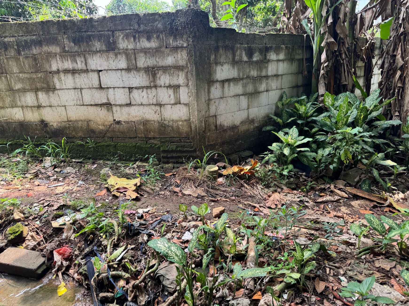 Dijual Tanah Di Kampung Manungtung Legok Kabupaten Tangerang