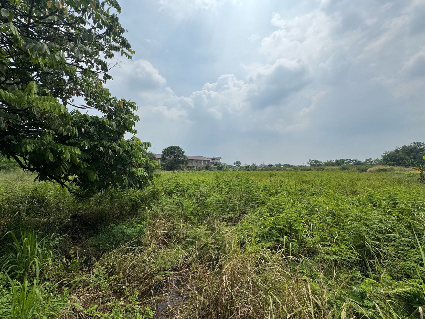 Dijual Tanah Di Kampung Manungtung Legok Kabupaten Tangerang