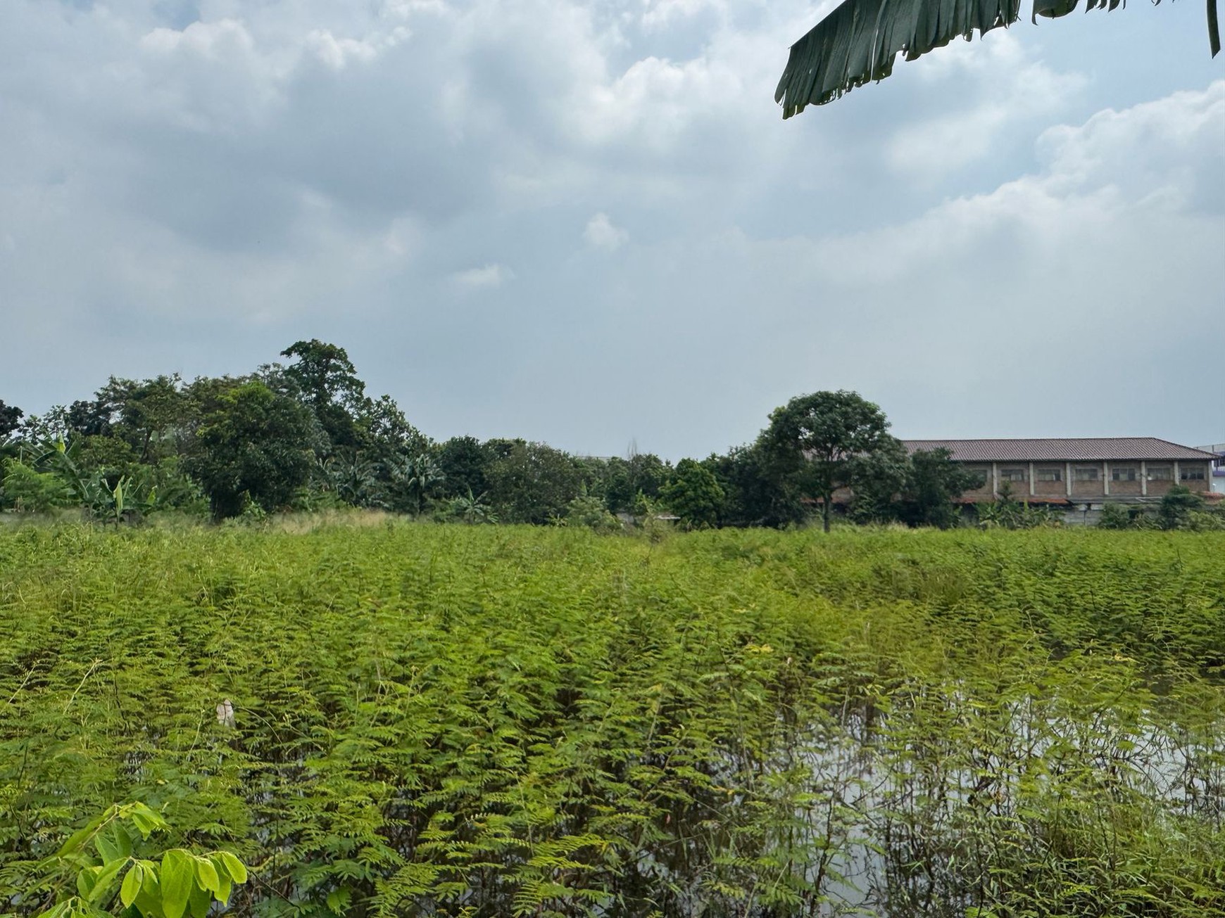 Dijual Tanah Di Kampung Manungtung Legok Kabupaten Tangerang