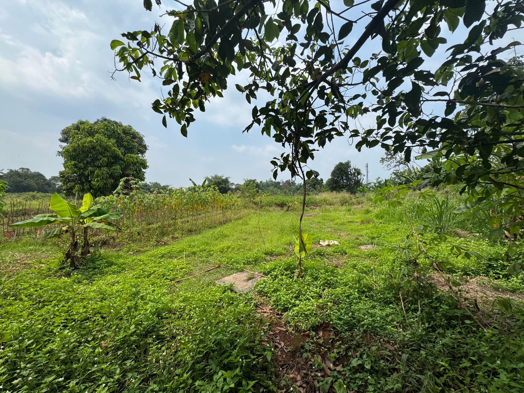 Dijual Tanah Di Kampung Manungtung Legok Kabupaten Tangerang
