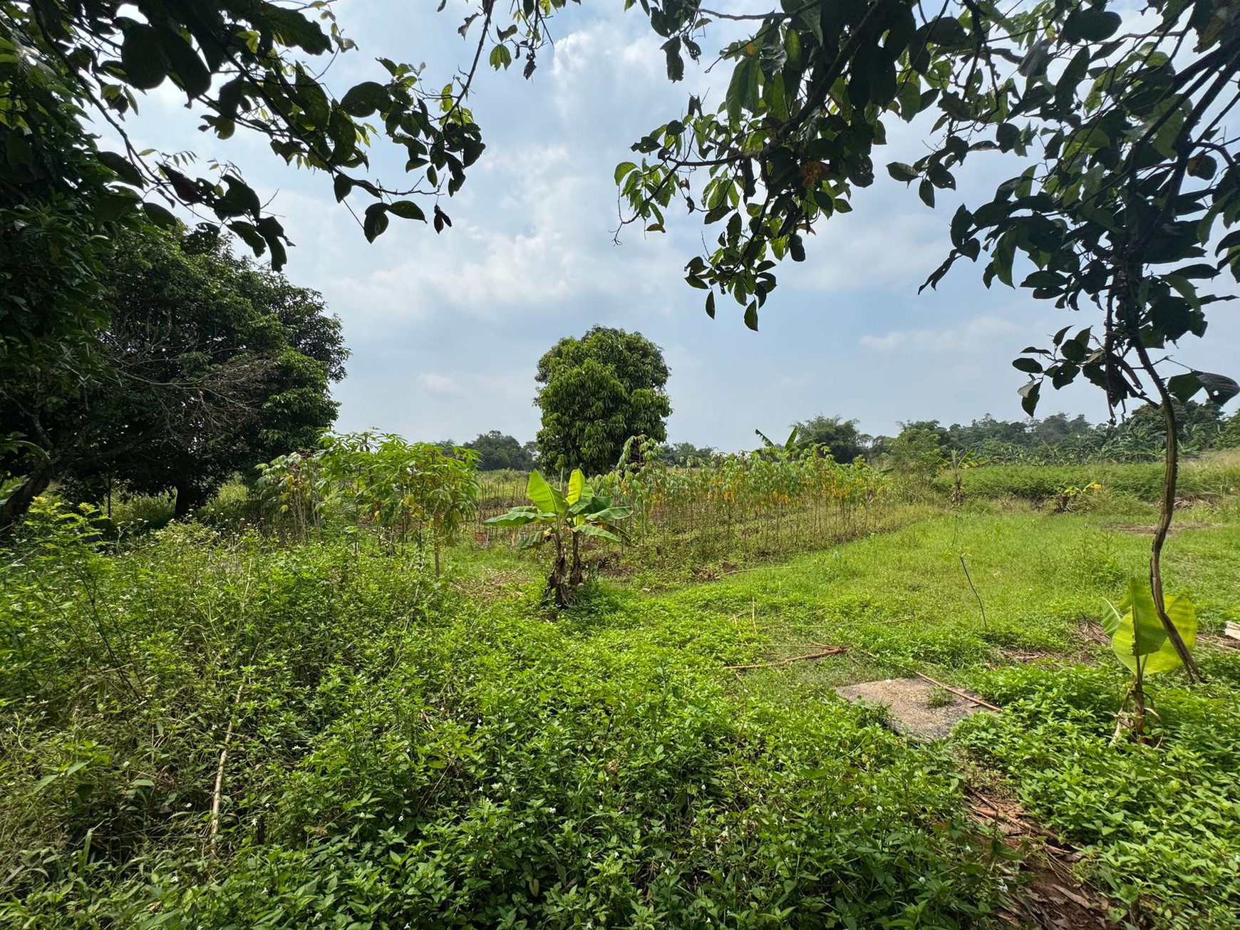 Dijual Tanah Di Kampung Manungtung Legok Kabupaten Tangerang