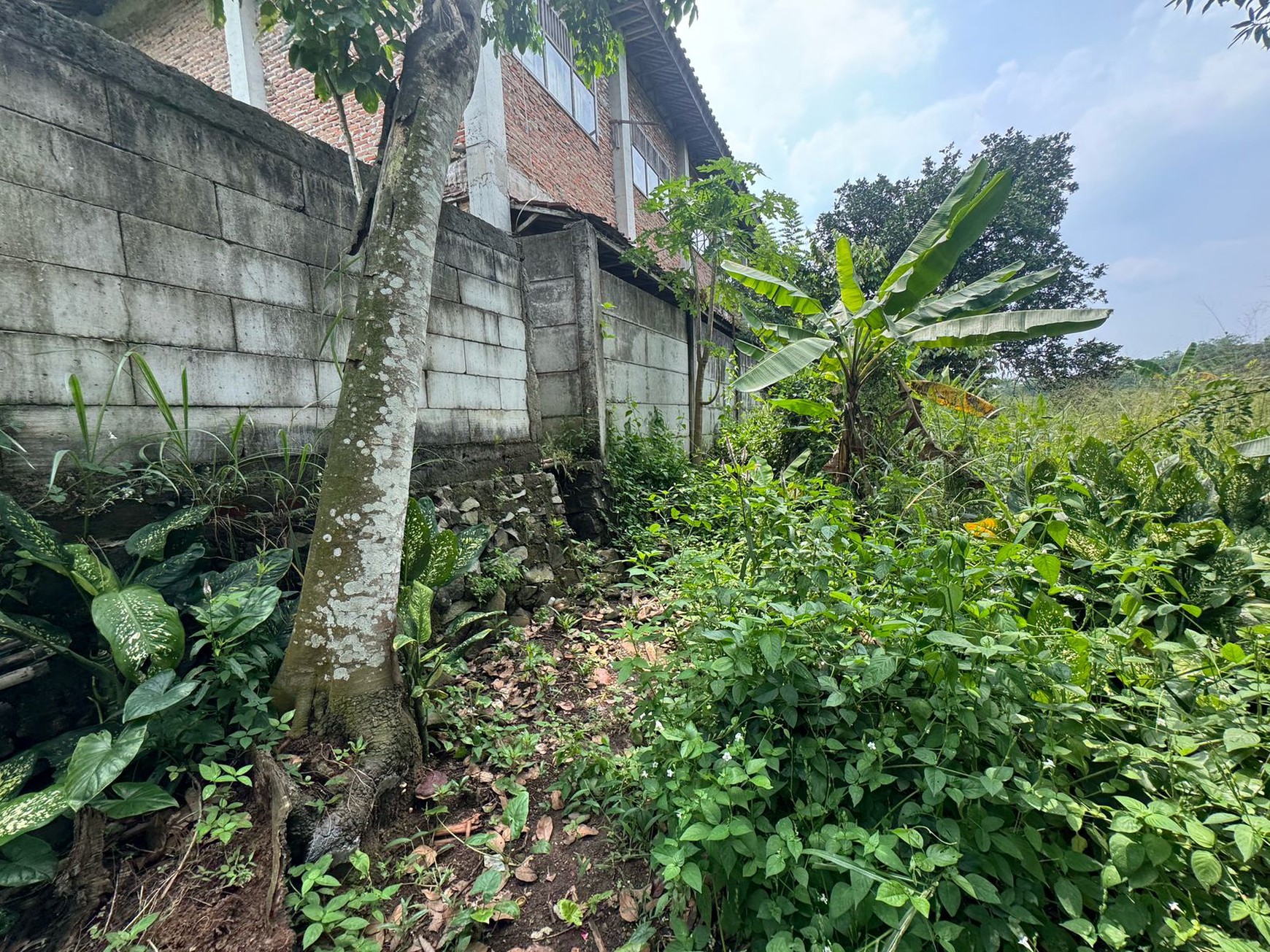 Dijual Tanah Di Kampung Manungtung Legok Kabupaten Tangerang