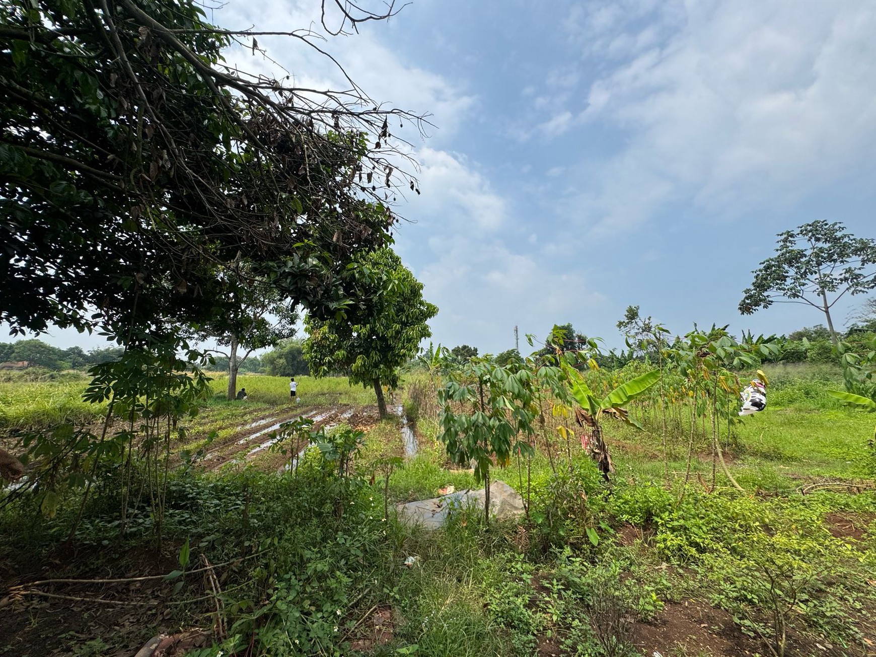 Dijual Tanah Di Kampung Manungtung Legok Kabupaten Tangerang