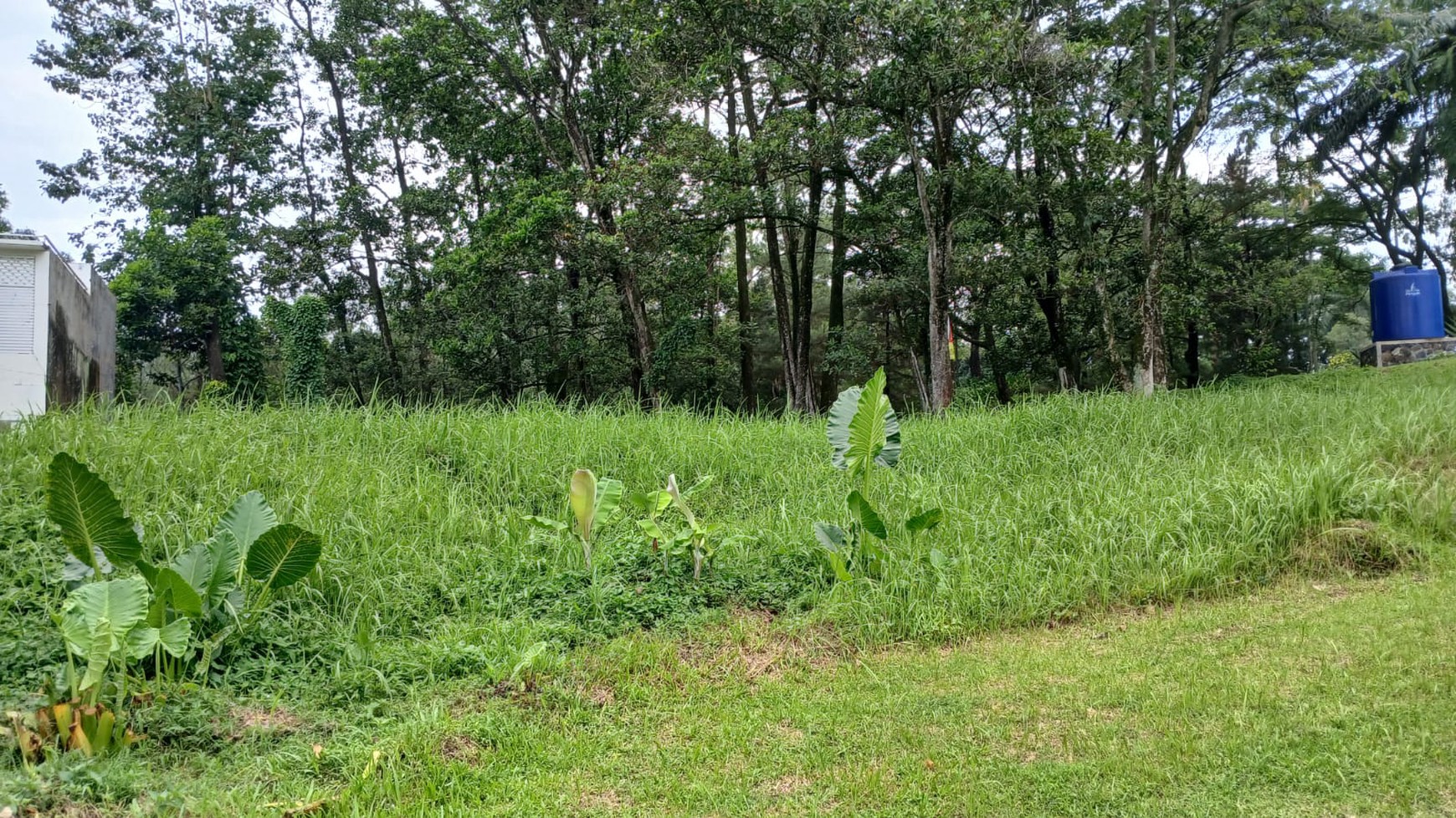 Tanah di Sentul Golf Dijual Jarang Ada, Pemandangan bagus