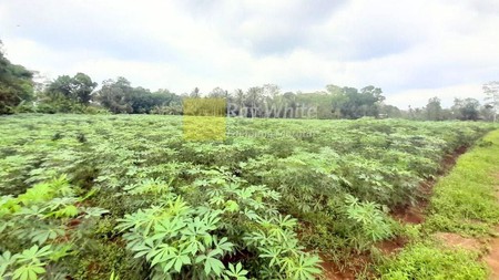 Dijual Tanah di Branti Pesawaran