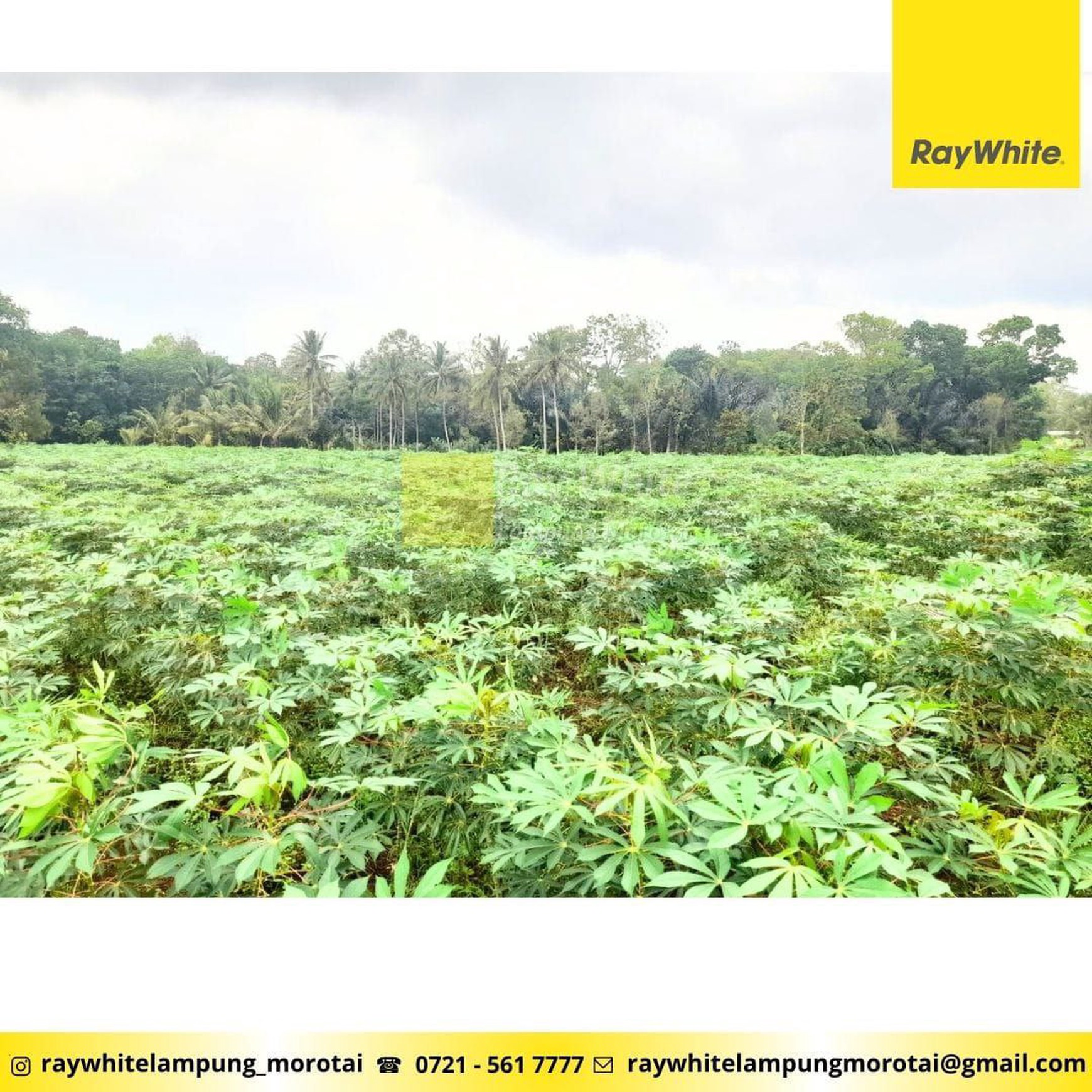 Dijual Tanah di Branti Pesawaran