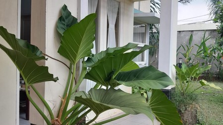 Cinere krukut rumah 1 lantai luas dekat pintu tol