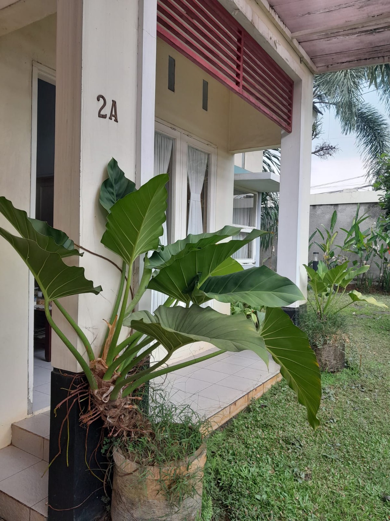 Cinere krukut rumah 1 lantai luas dekat pintu tol