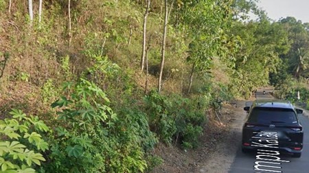 Tanah Murah Luas 731 Meter Persegi Lokasi Strategis di Jl Nampu Kalak Pacitan 