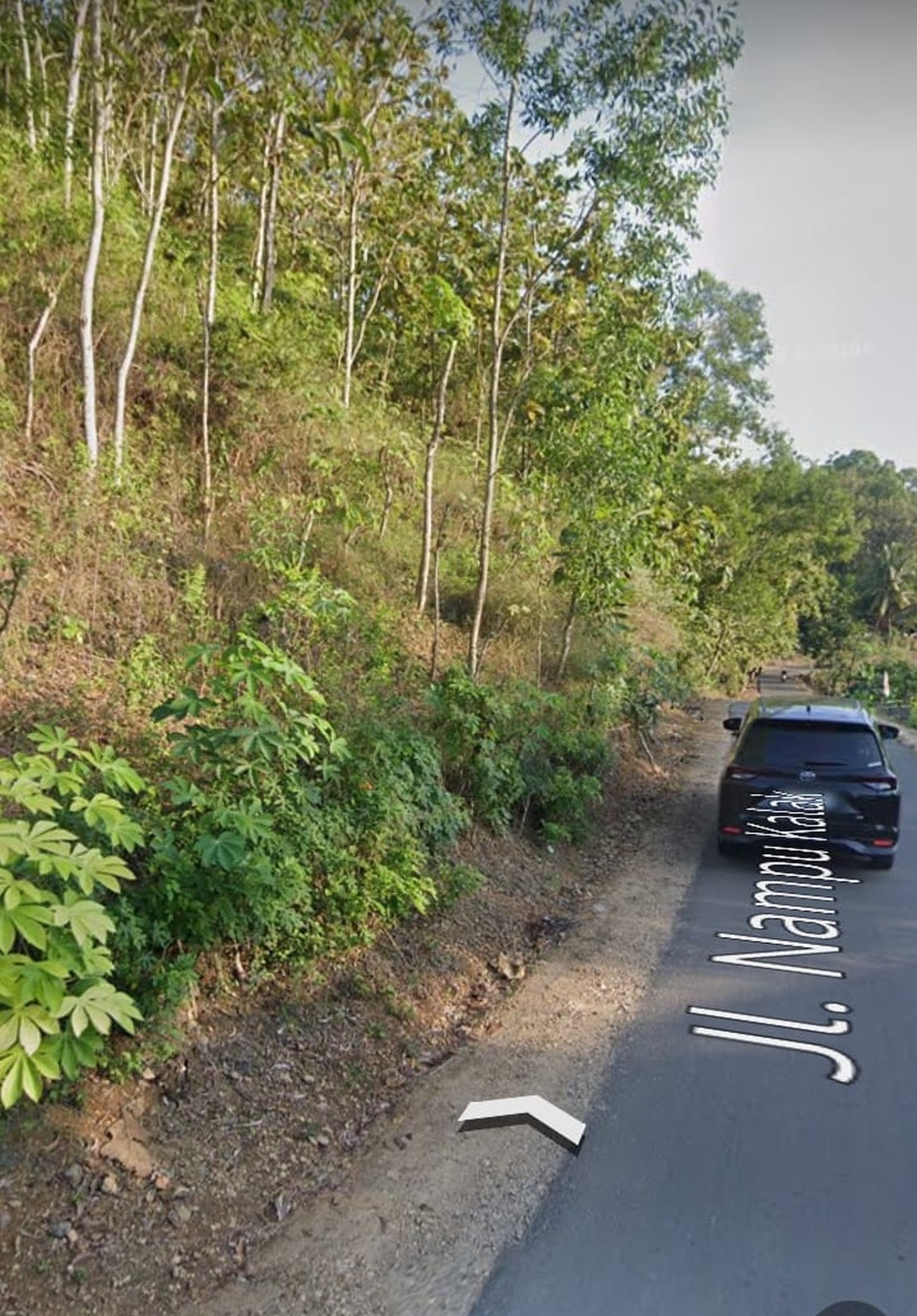 Tanah Murah Luas 731 Meter Persegi Lokasi Strategis di Jl Nampu Kalak Pacitan 