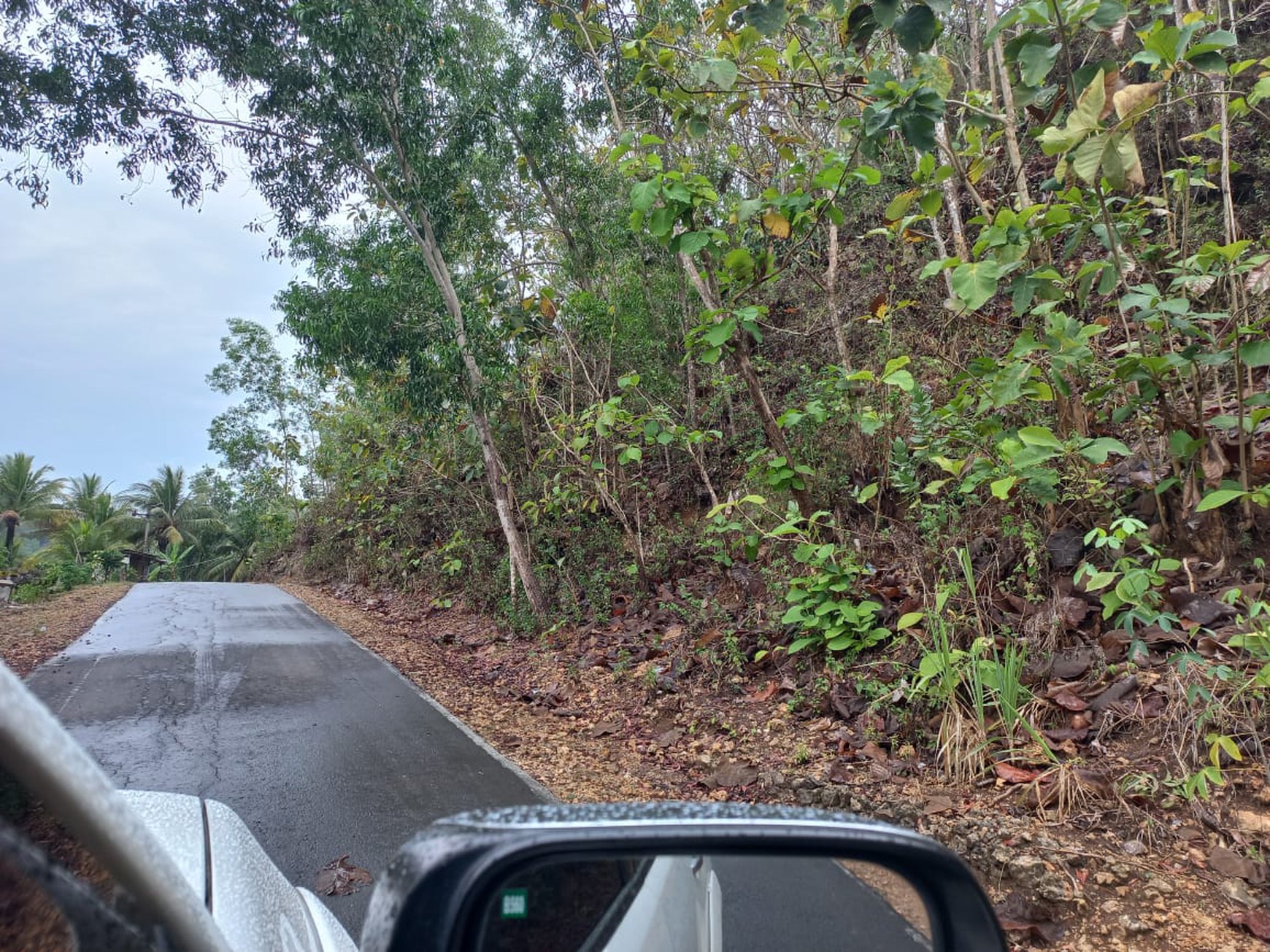 Tanah Murah Luas 731 Meter Persegi Lokasi Strategis di Jl Nampu Kalak Pacitan 