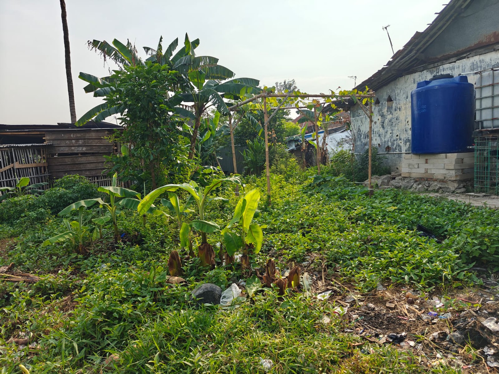 Tanah Strategis di Karang Asih - Cocok untuk Investasi & Usaha