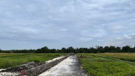 Land Freehold 5 Minute To The Beach Kedungu Tabanan