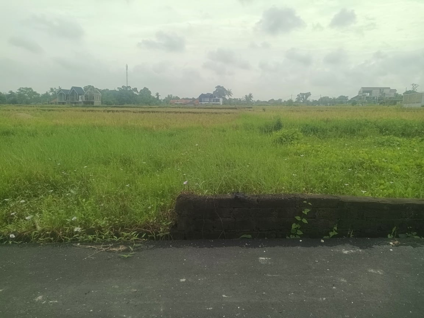 Land Freehold 5 Minute To The Beach Kedungu Tabanan