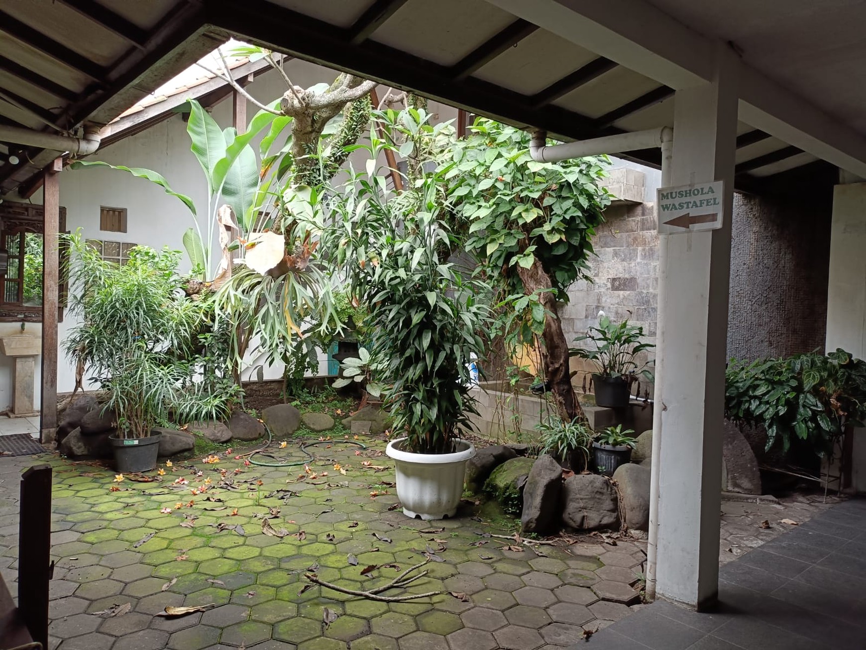 Disewakan Rumah di Tengah Kota Mainroad Pajajaran